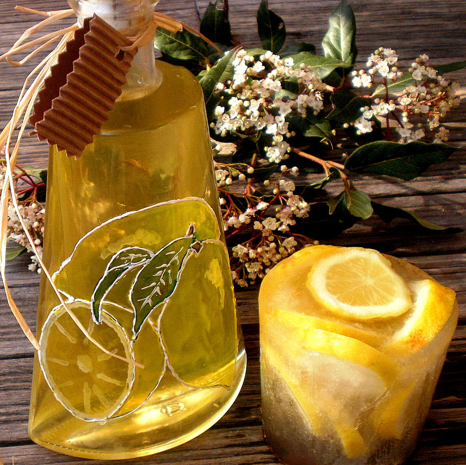 Limoncello by DajanaD
