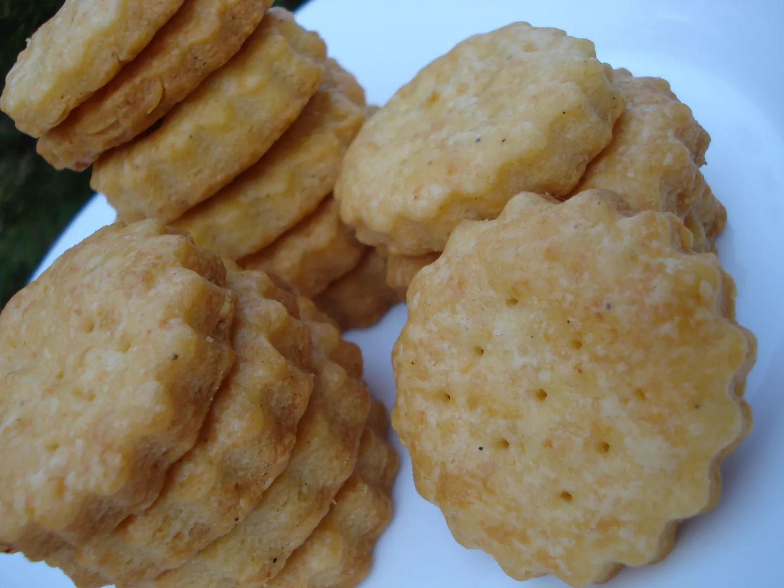 tuc tuc krekeri by netherland