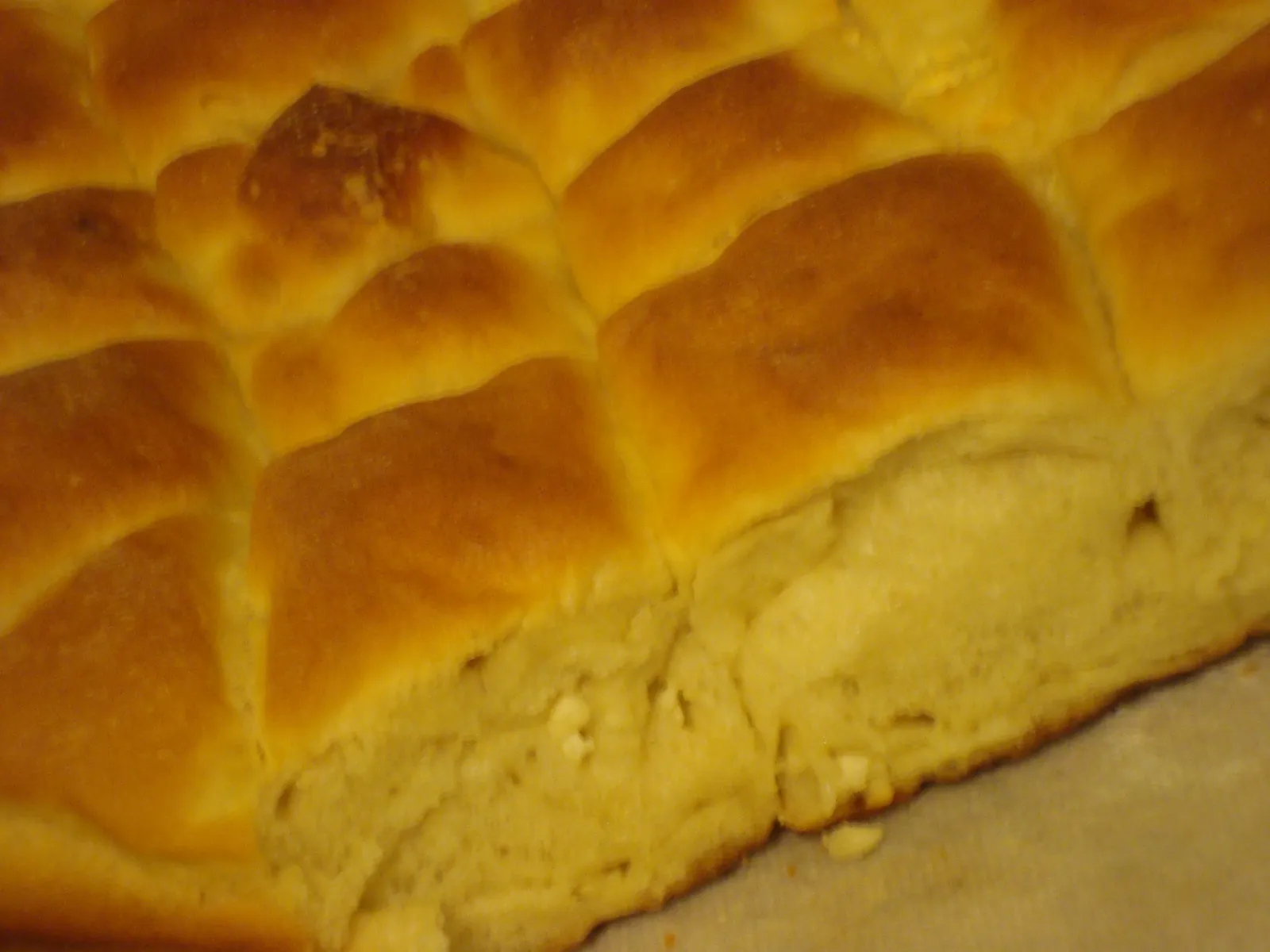 Sechenica by me opet