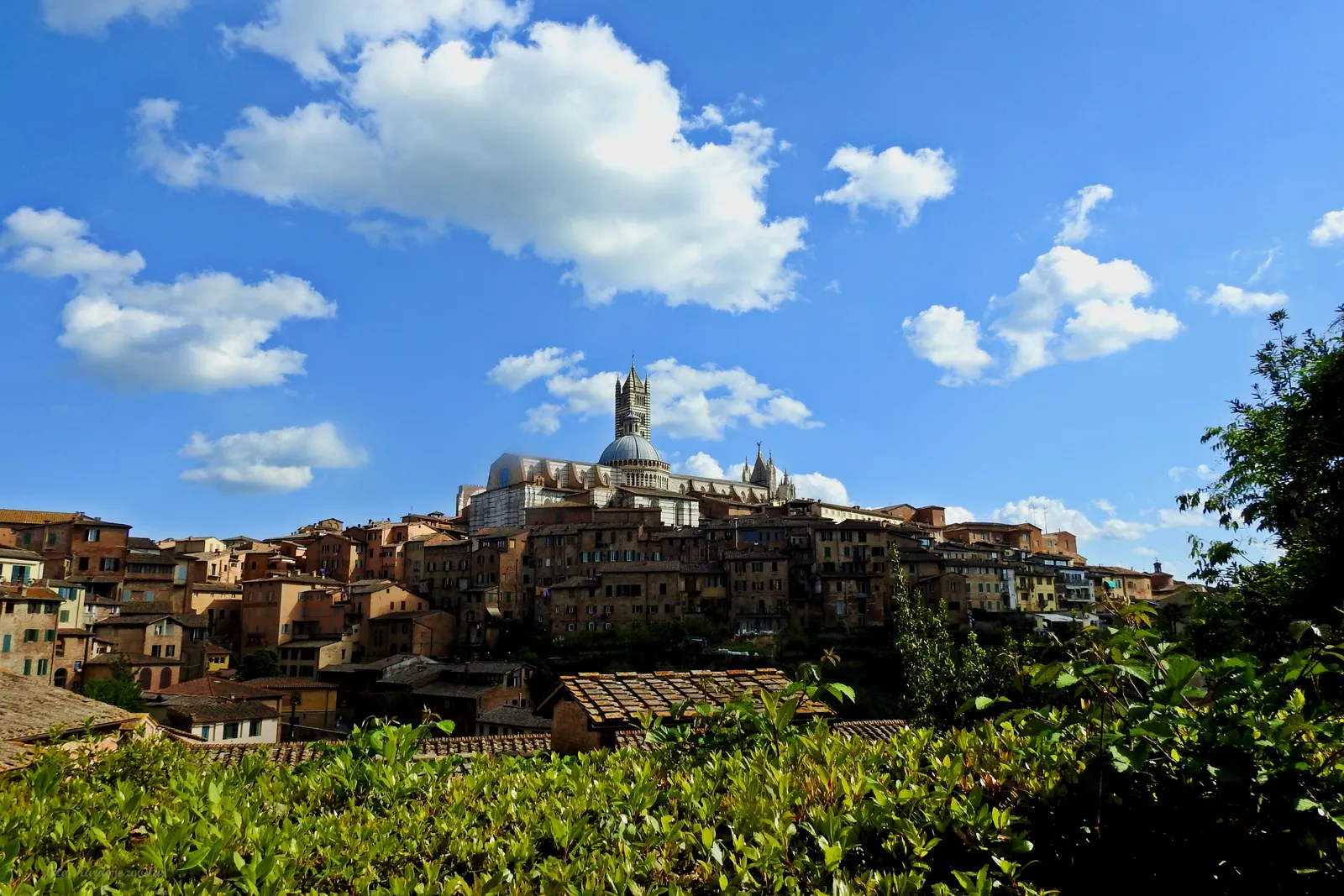 Siena