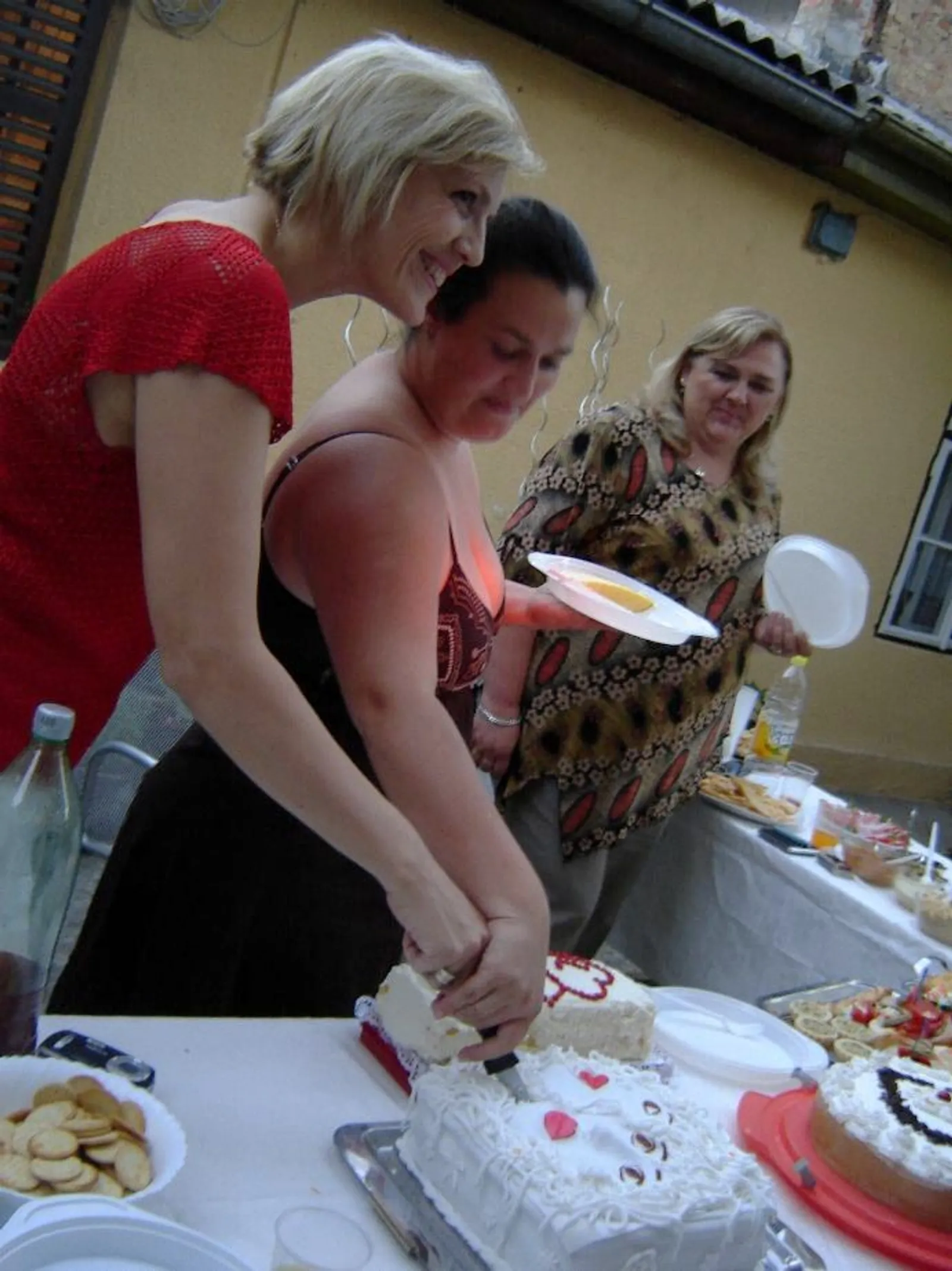 Dekorativna fotografija