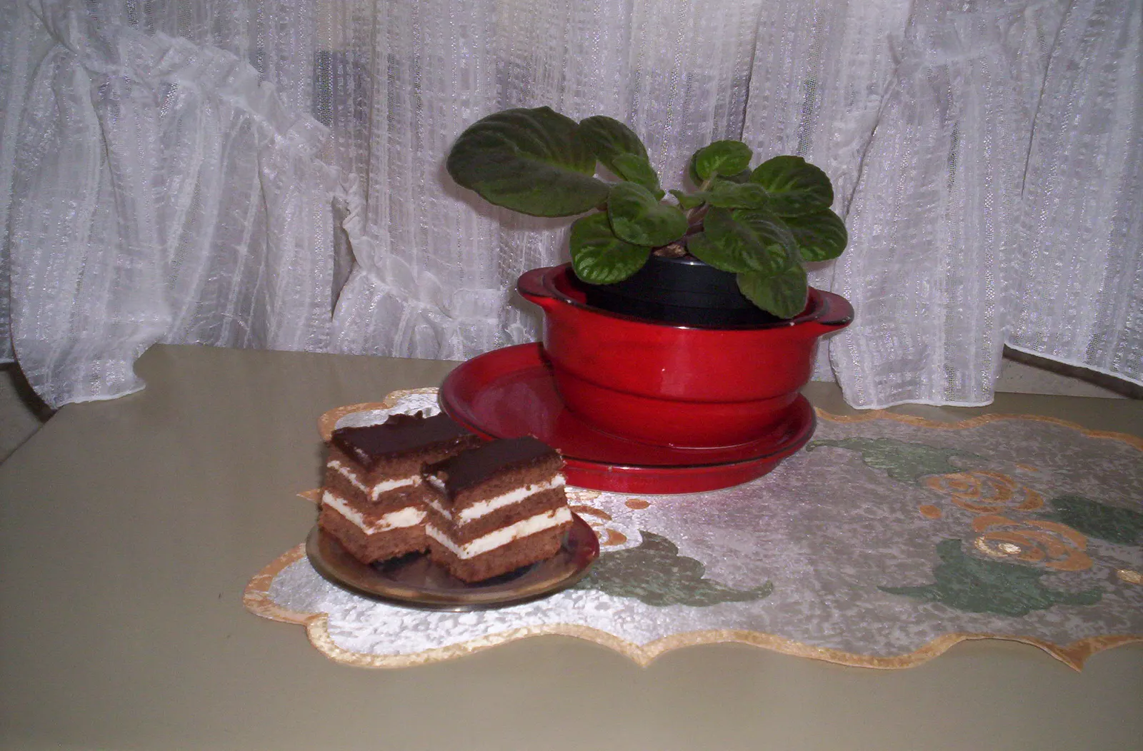 Zebra kocke by TANJA1234