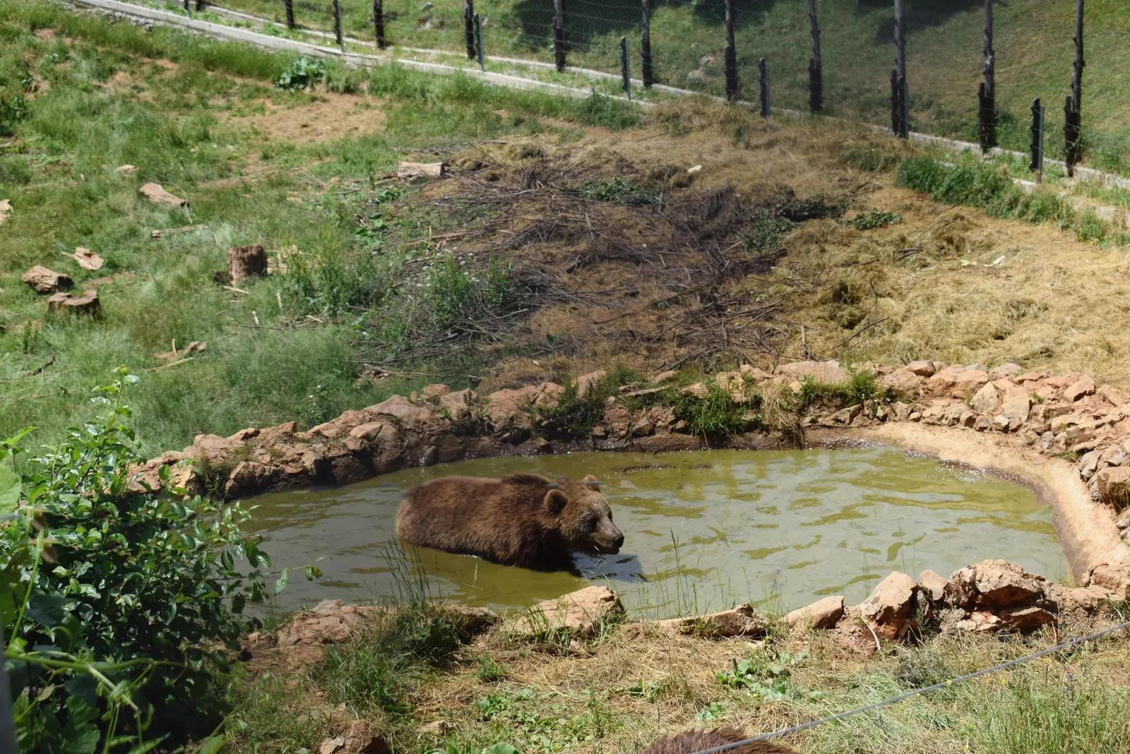 Čarobna Lika