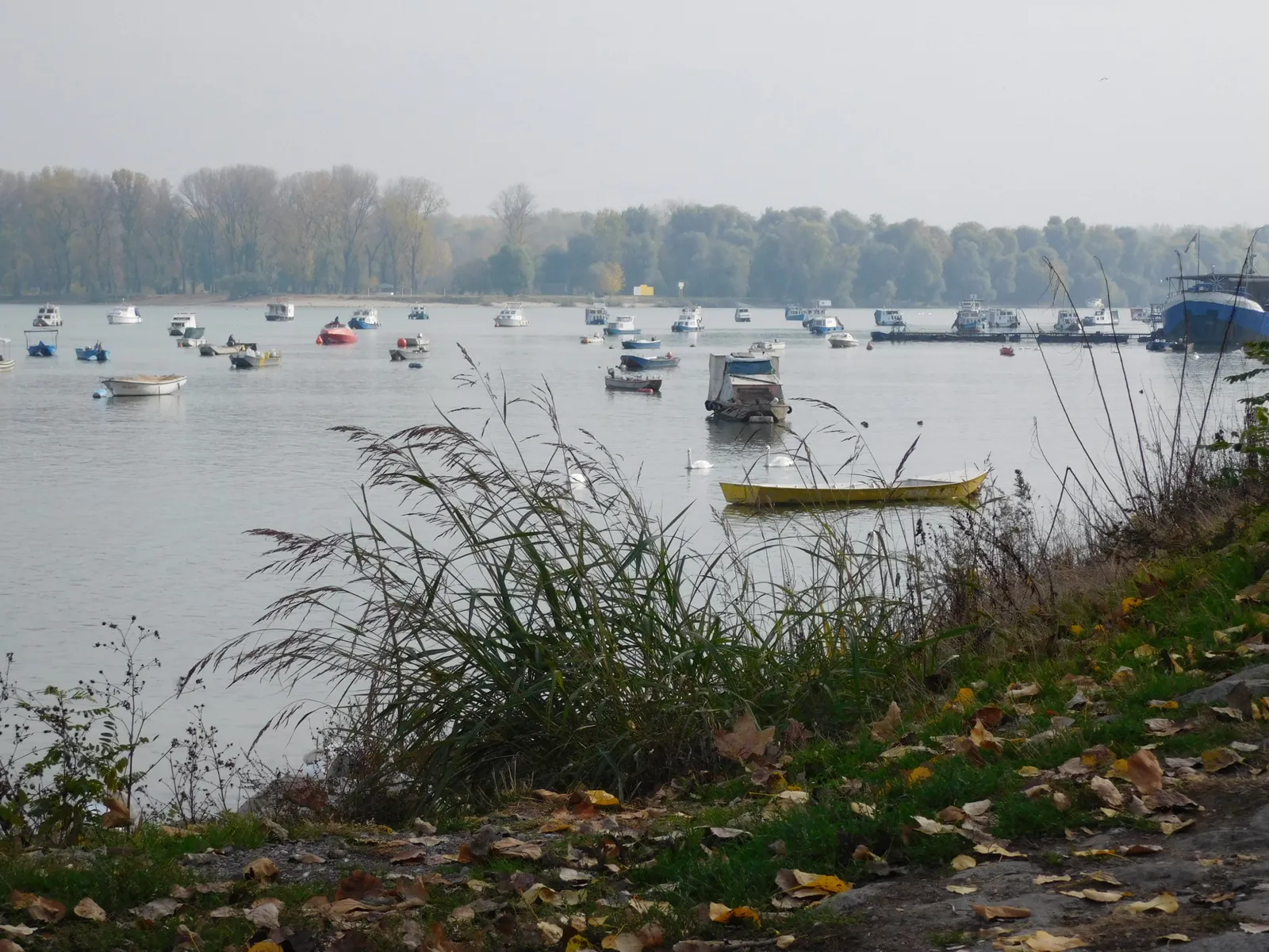 Pogled na Dunav