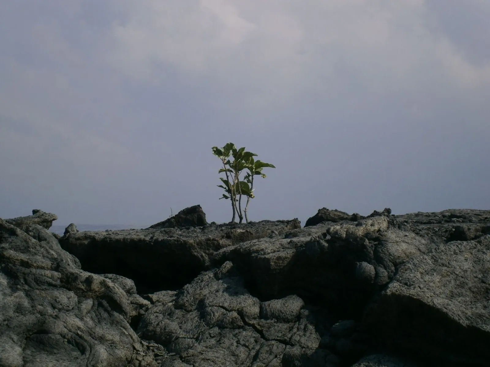big island, hawaii