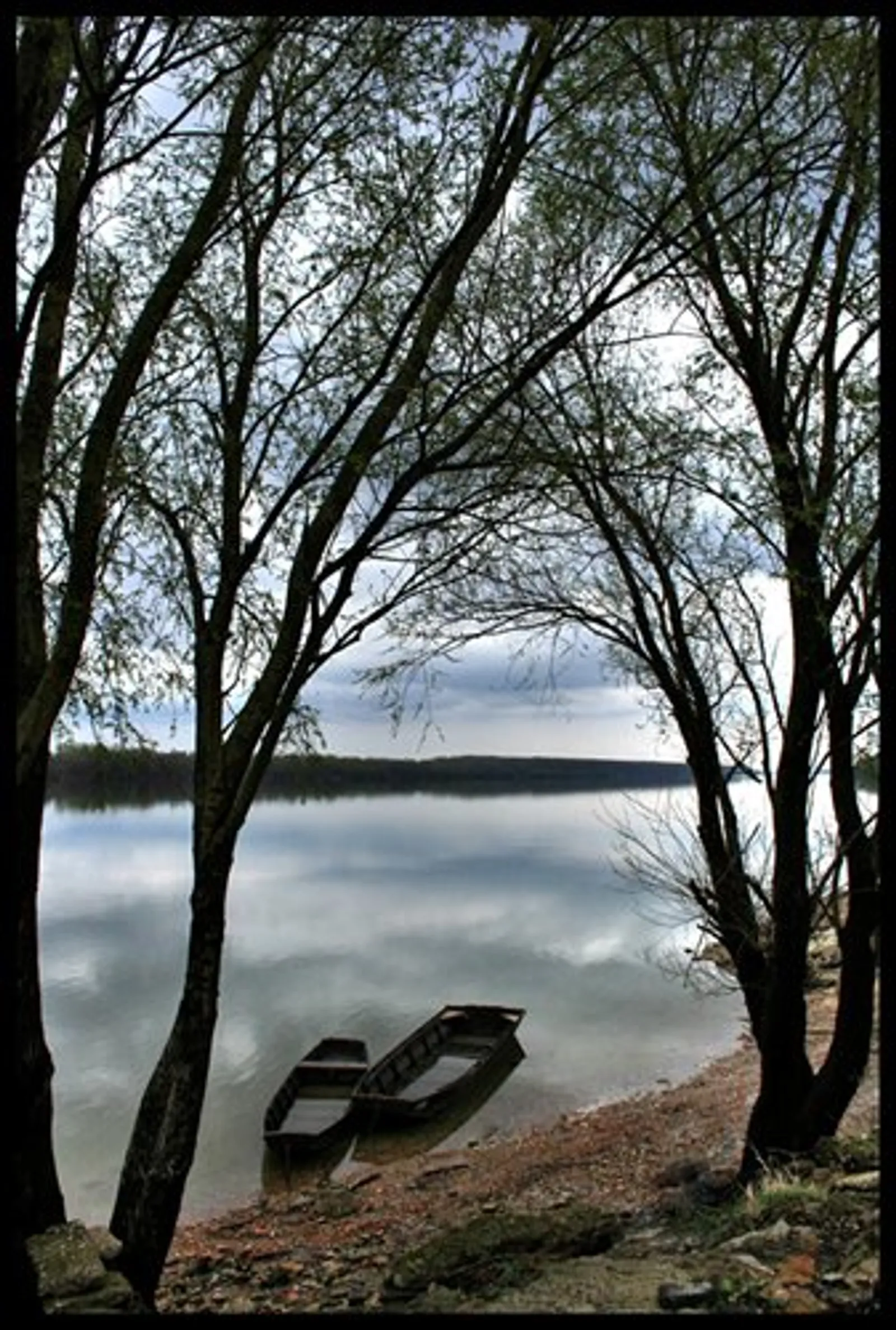 Dunavski čikl – kliknite da vidite doljnji dio fotografije :)