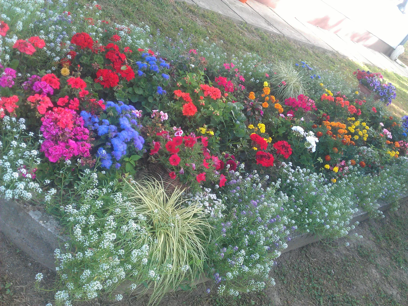 Image 2266061 (auto)