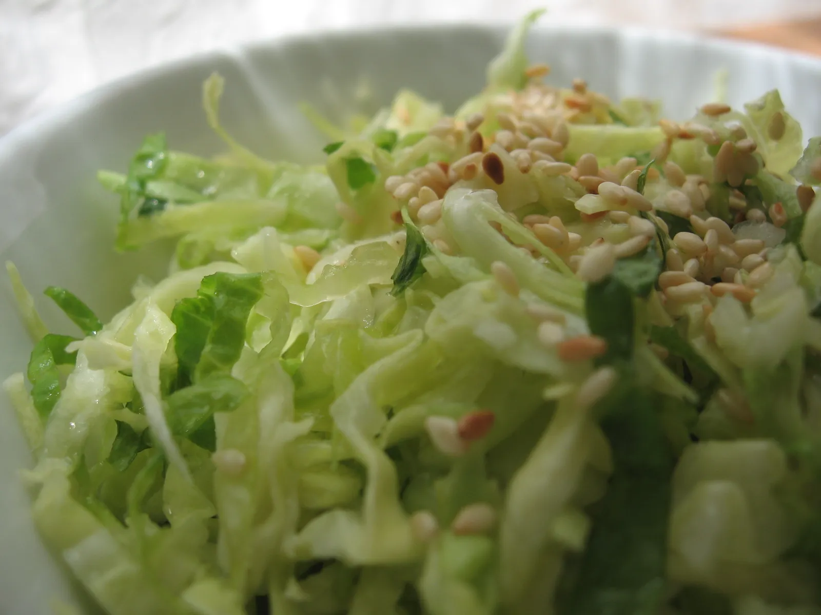 Fina kupus salata sa susamom