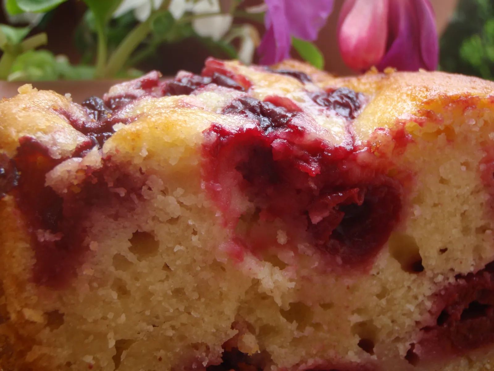 Smajlicin cool-cake :)))