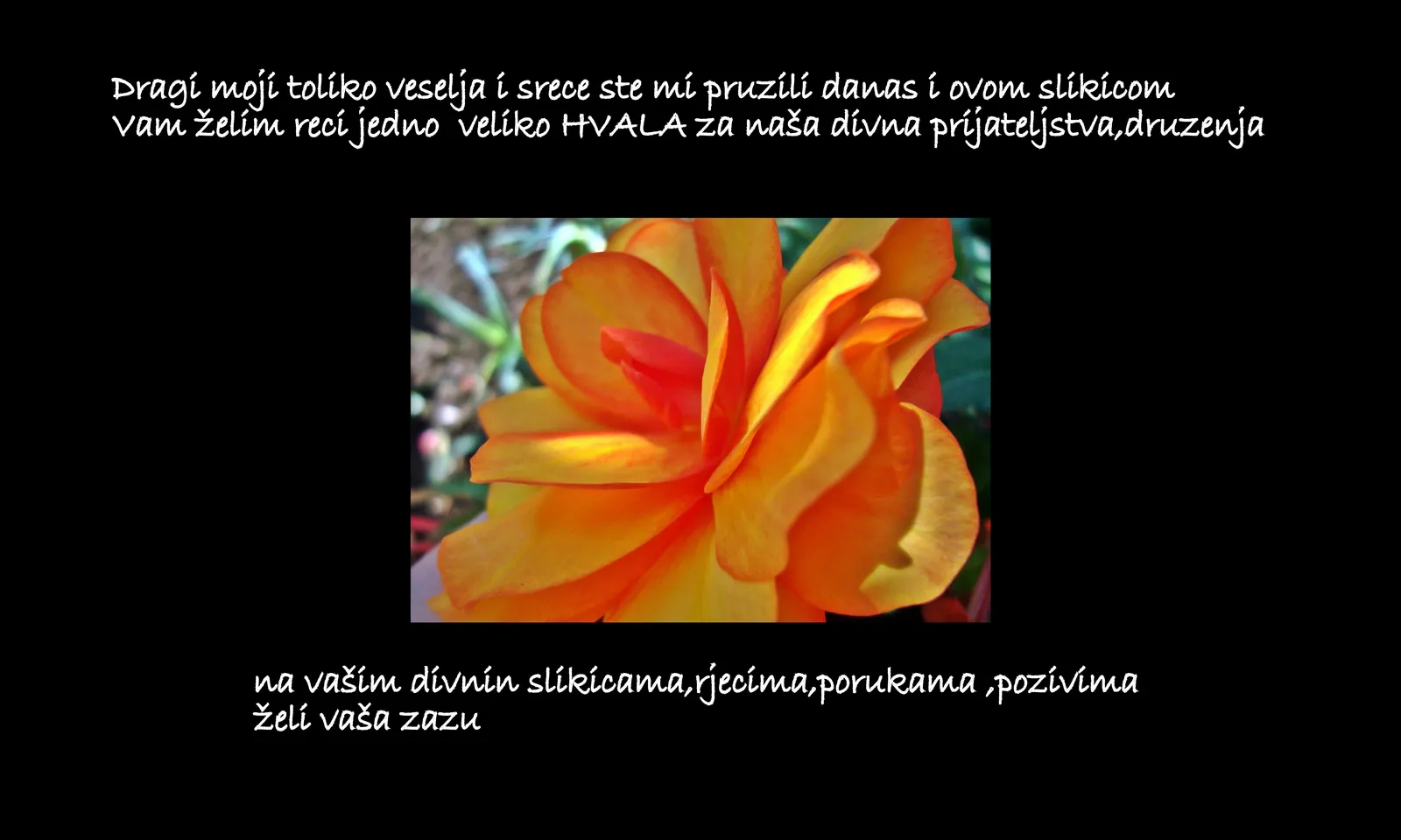 Veliko hvala
