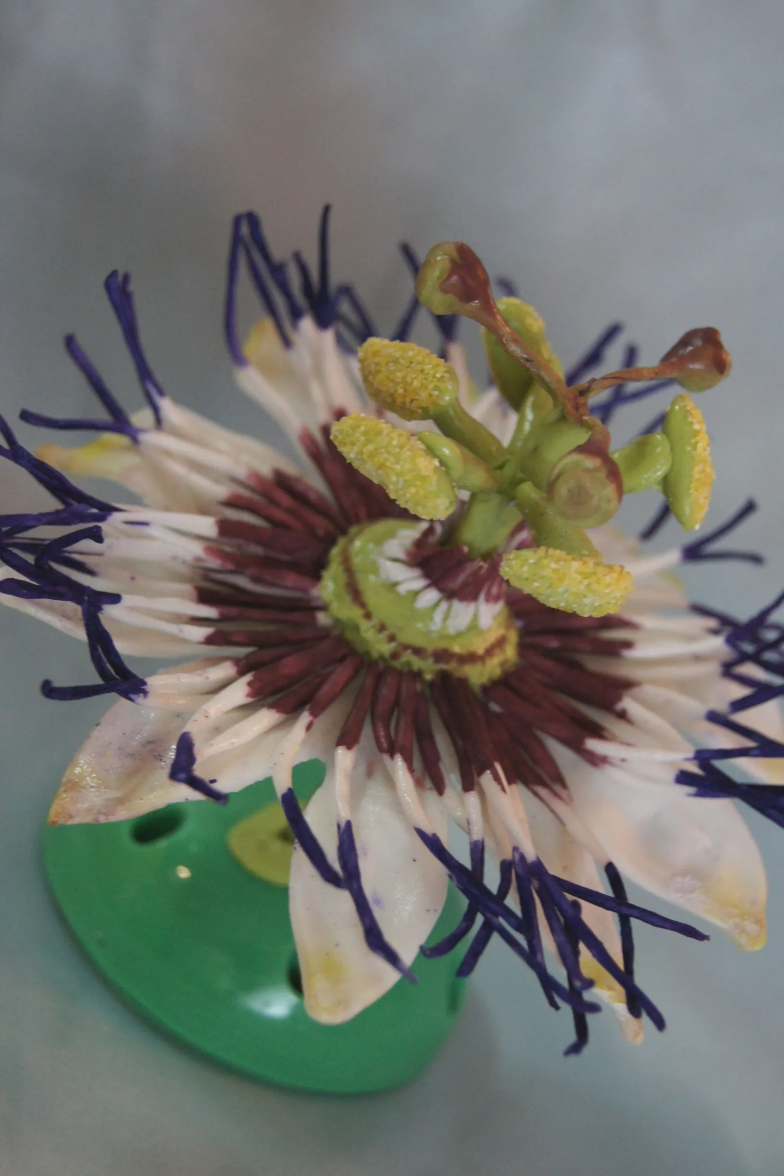 Gumpaste pasiflora – centar se susi