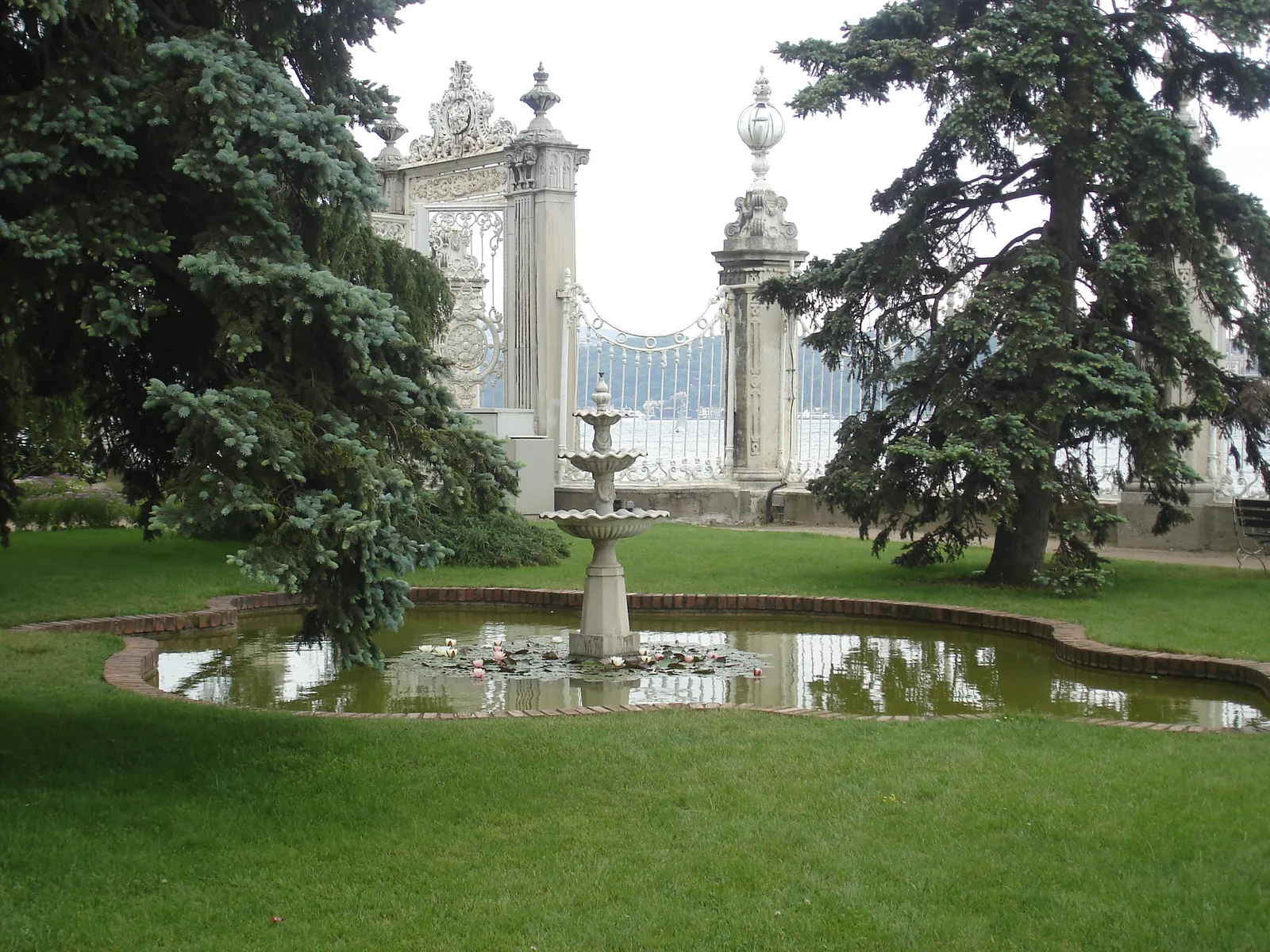 Draga Rummy,