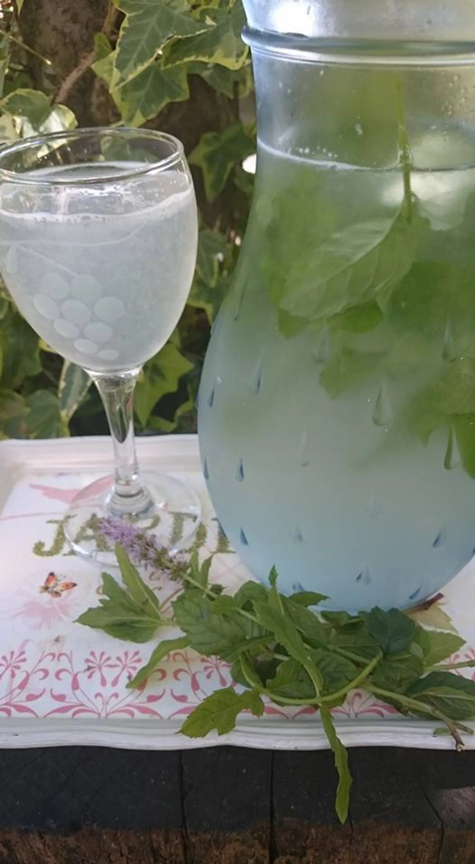 Osvježavajući napitak s mentom-Lulijada
