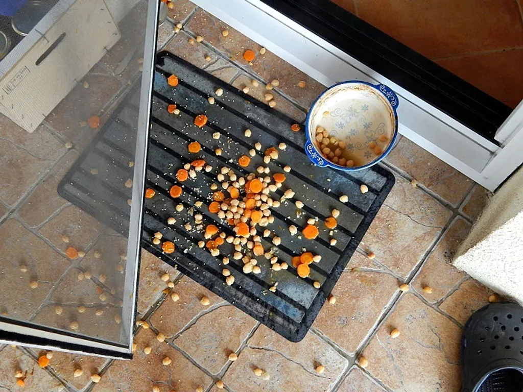 Dekorativna fotografija