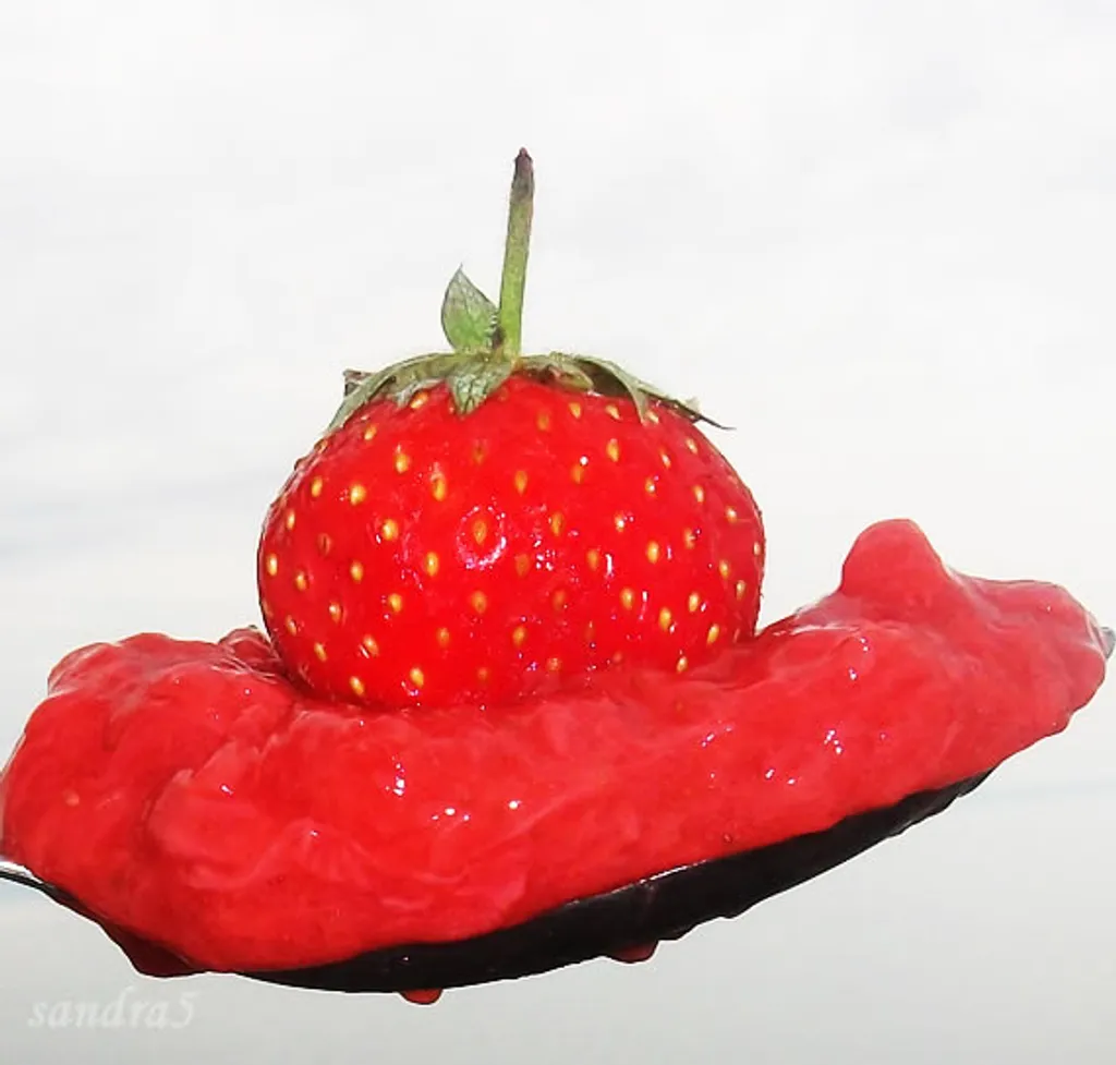 Dekorativna fotografija