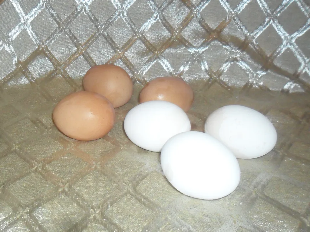 Dekorativna fotografija