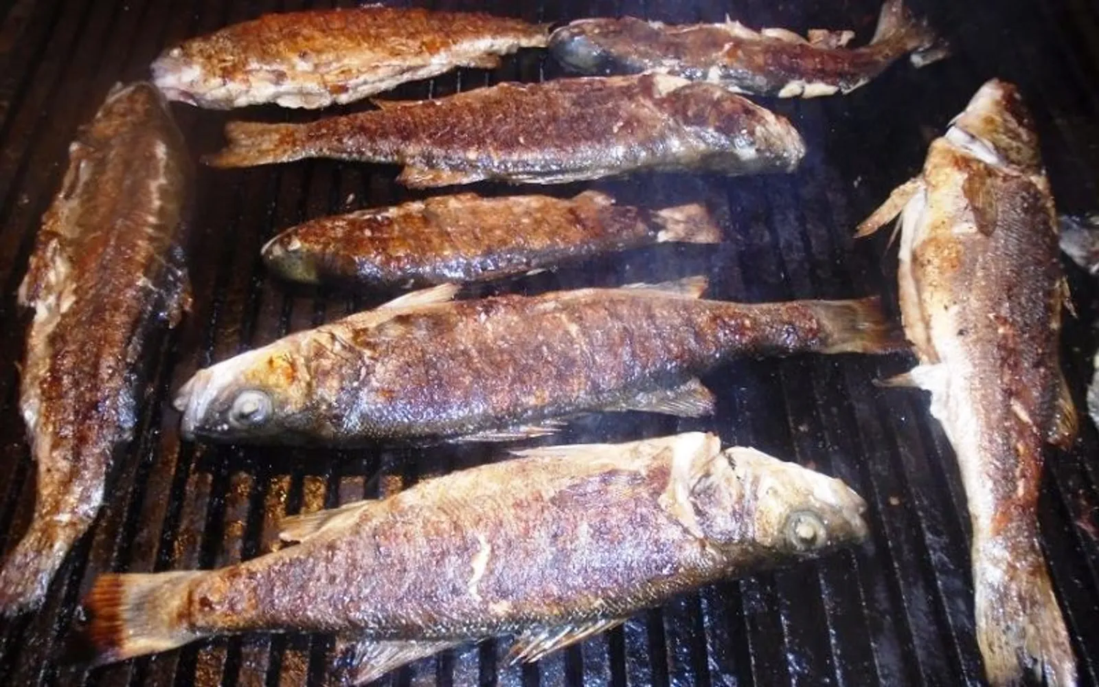 Guljac Rostilja NERETVANSKA PASTRMKA SA ROSTILJA - Coolinarika