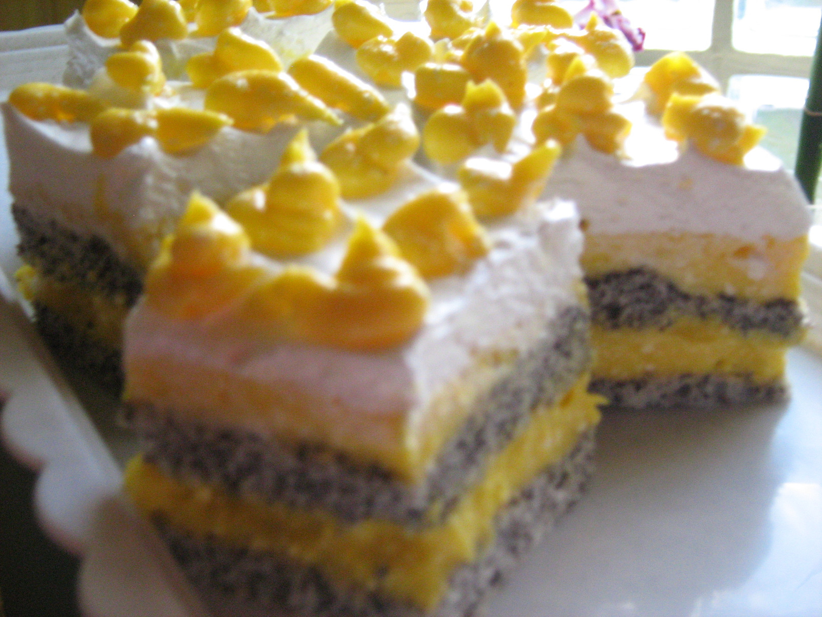 ledene mak kocke