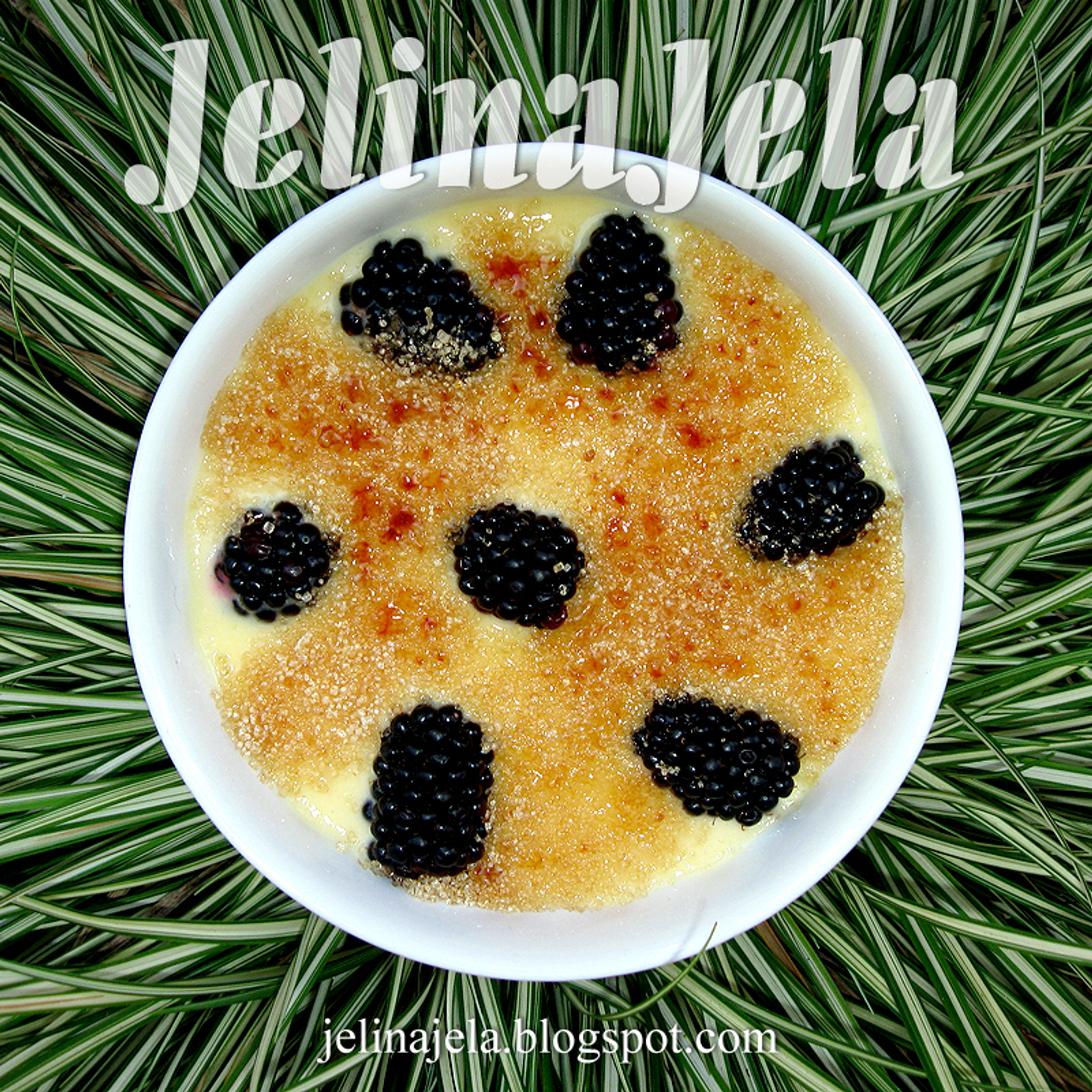 Crème brûlée/ Crema catalana
