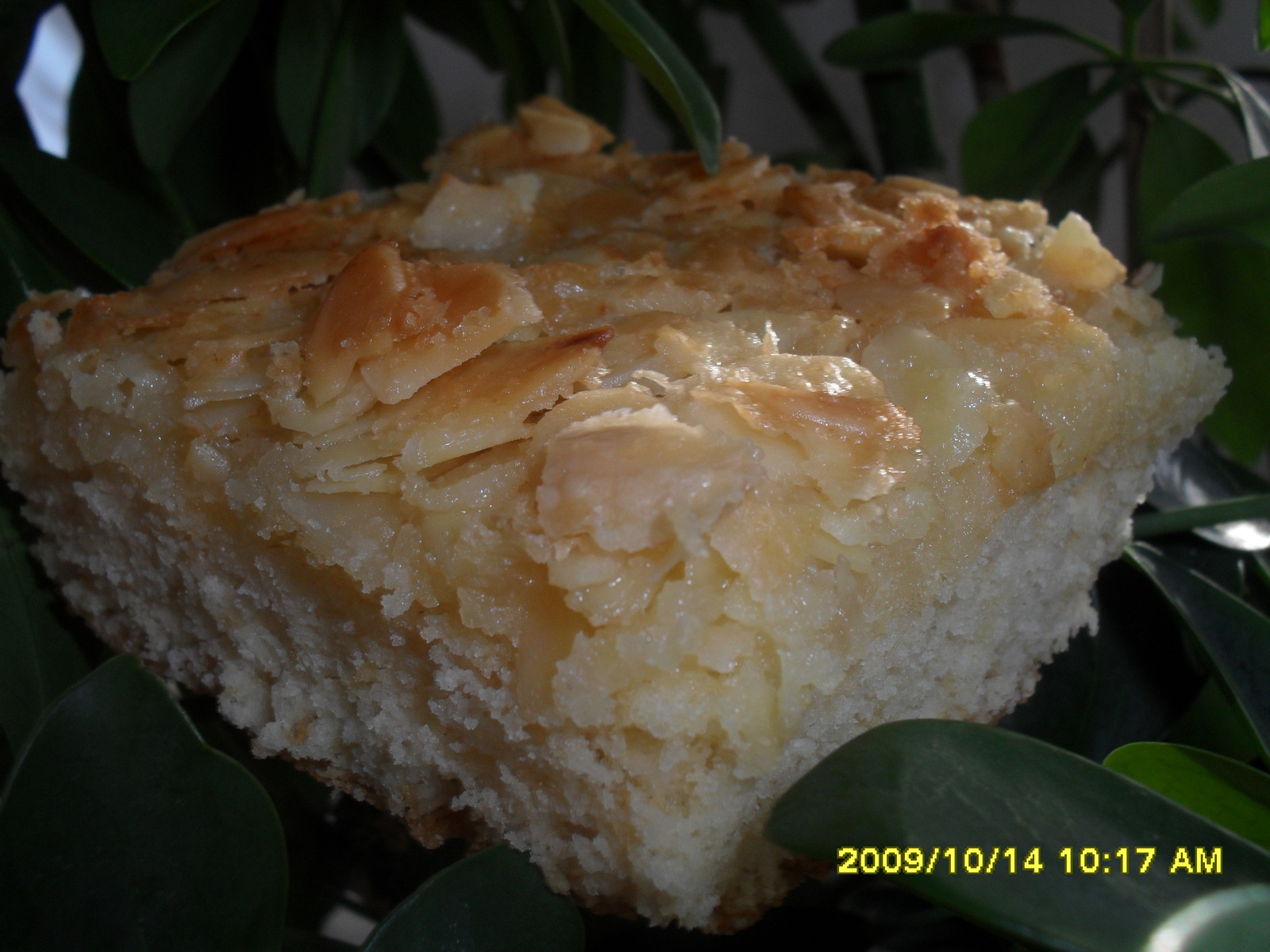 Brzi Buterkuchen