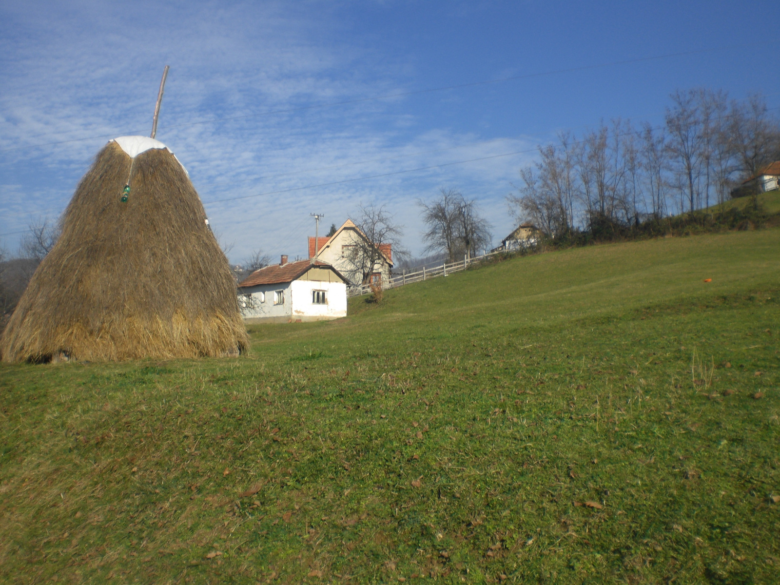 Image 2339765 (auto)