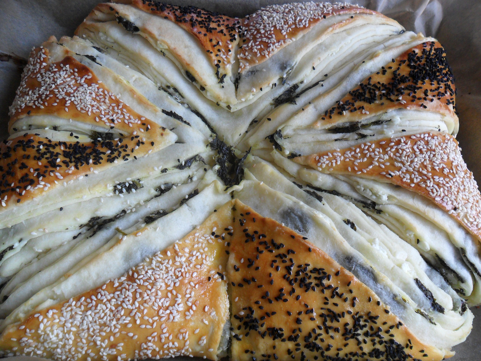 Neka nova pita