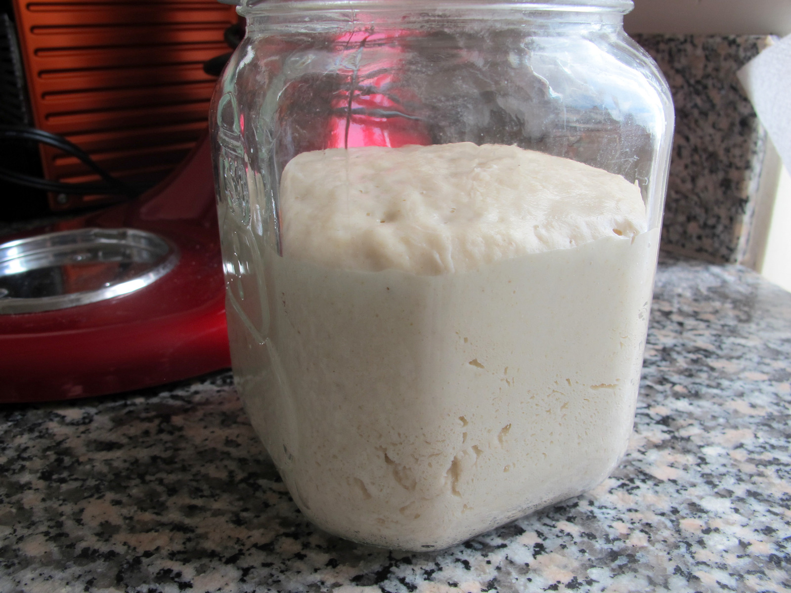 Prirodni kvasac (sourdough starter, pasta madre)