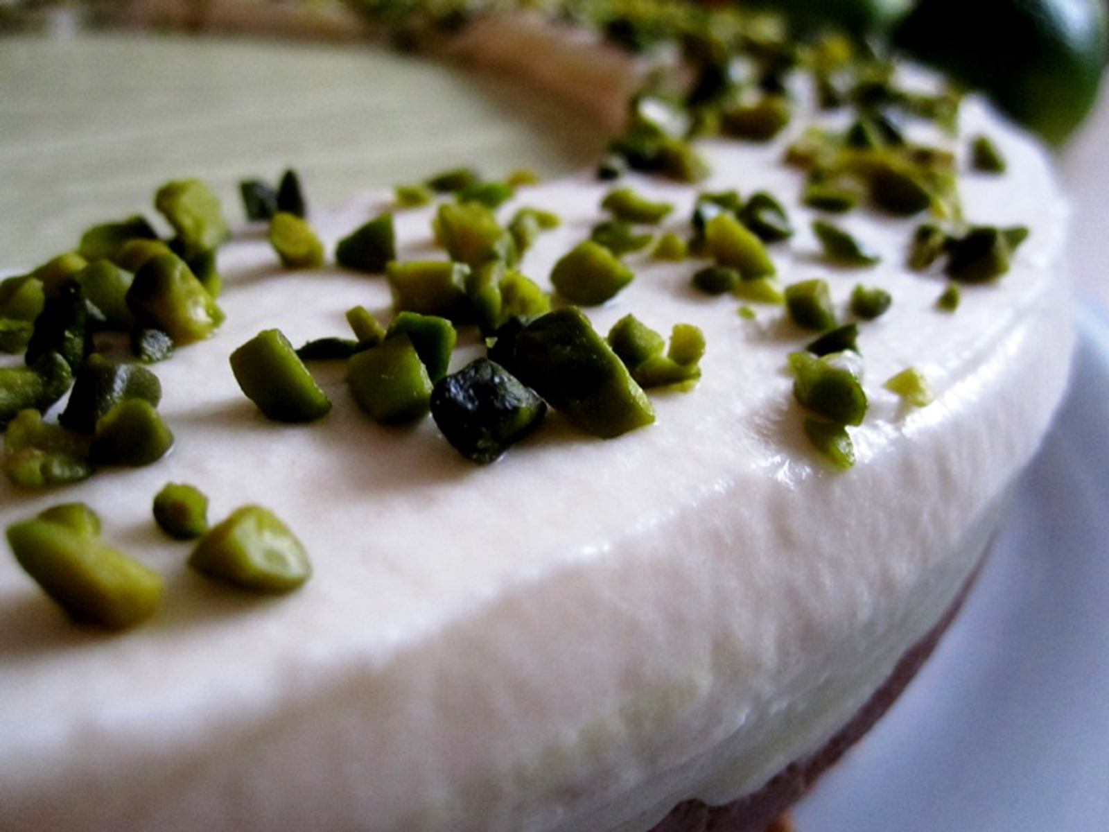 Avocado & Lime Cheesecake
