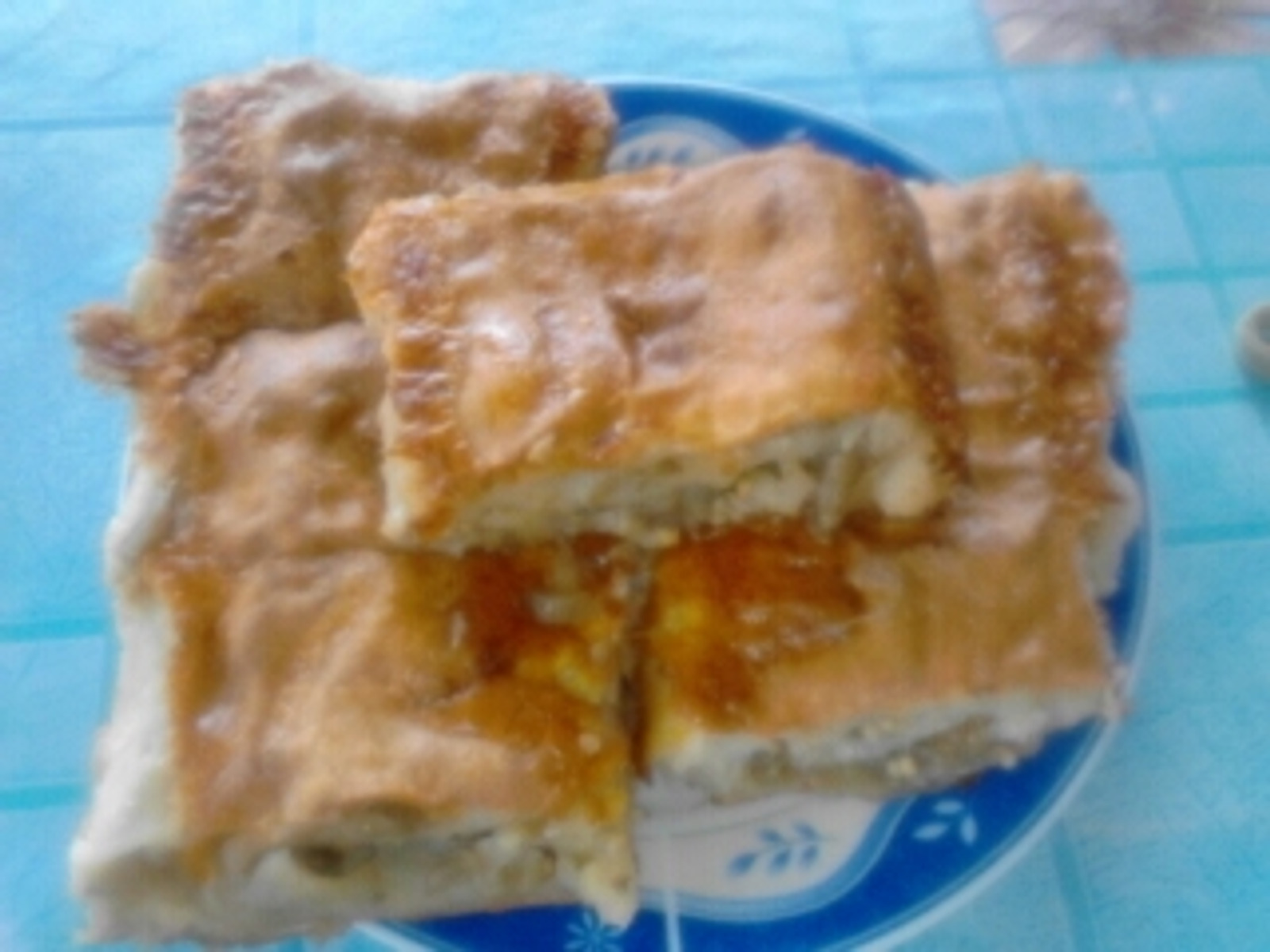 PITA OD PLAVOG PATLIDZANA