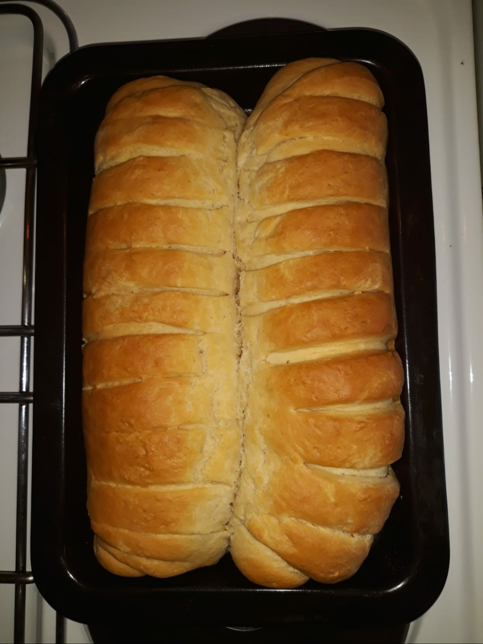 Mliječni kruh