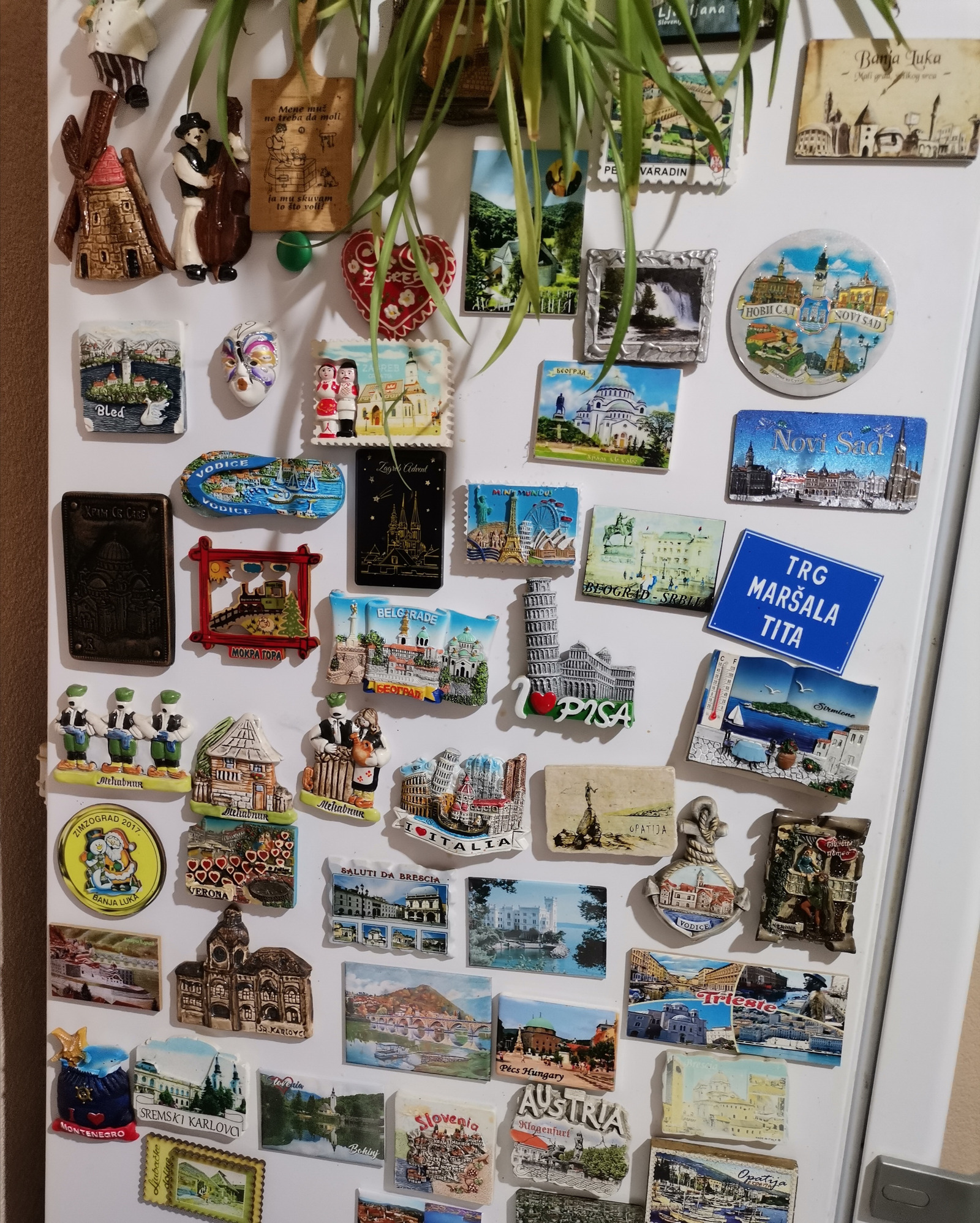 Moji magnet