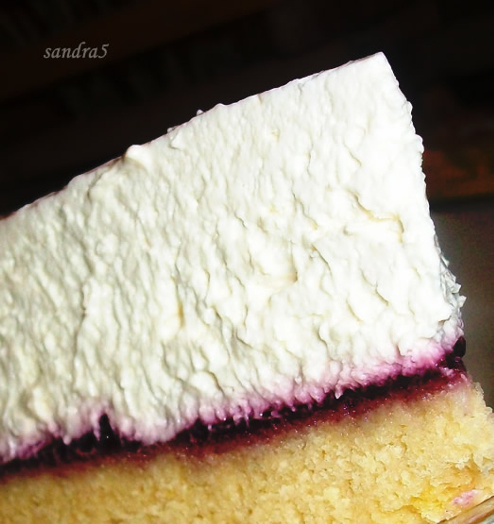 Šumska tortica