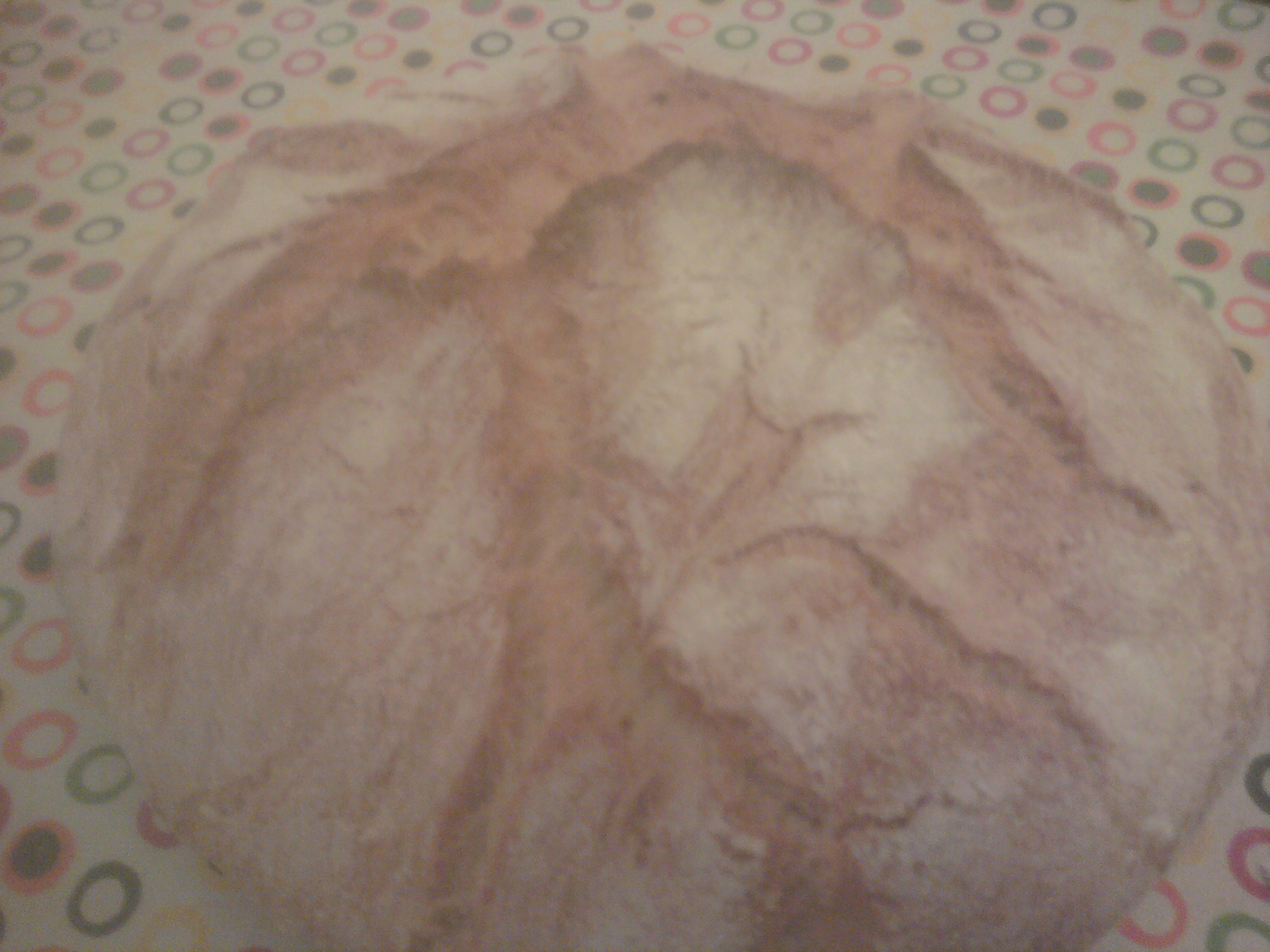 Fast Bread by juanita