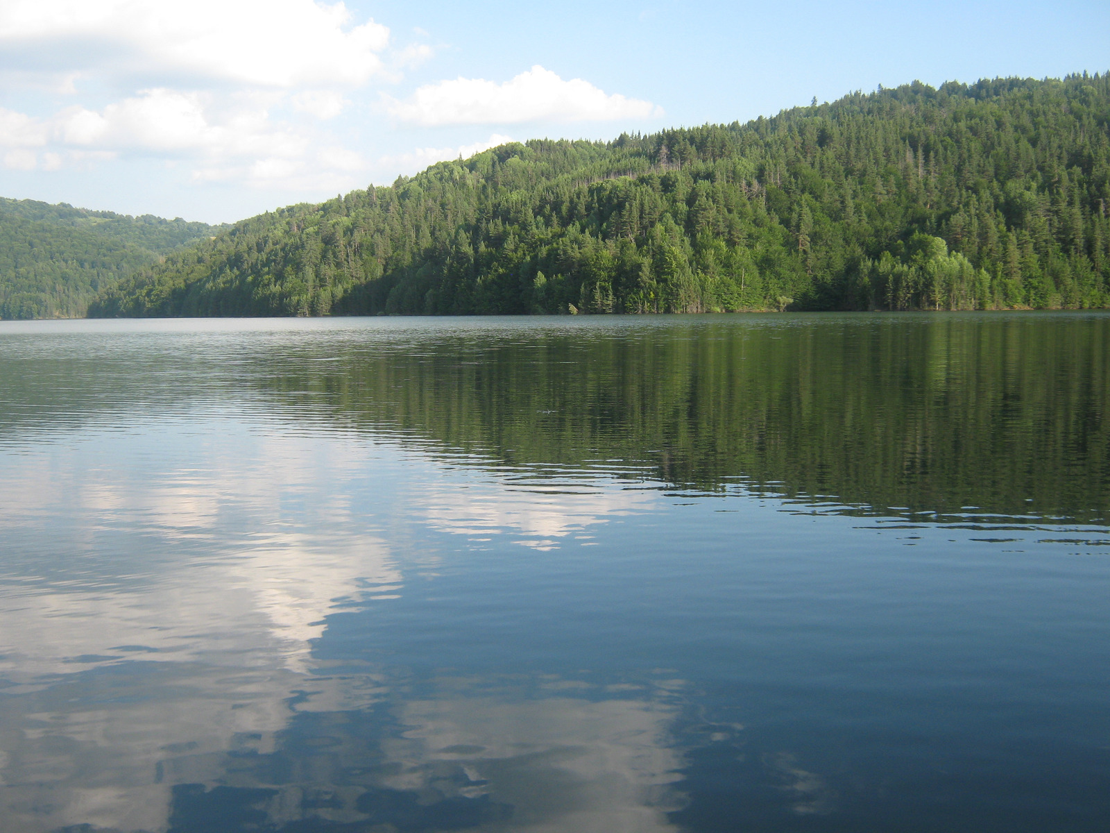 Image 968761 (auto)