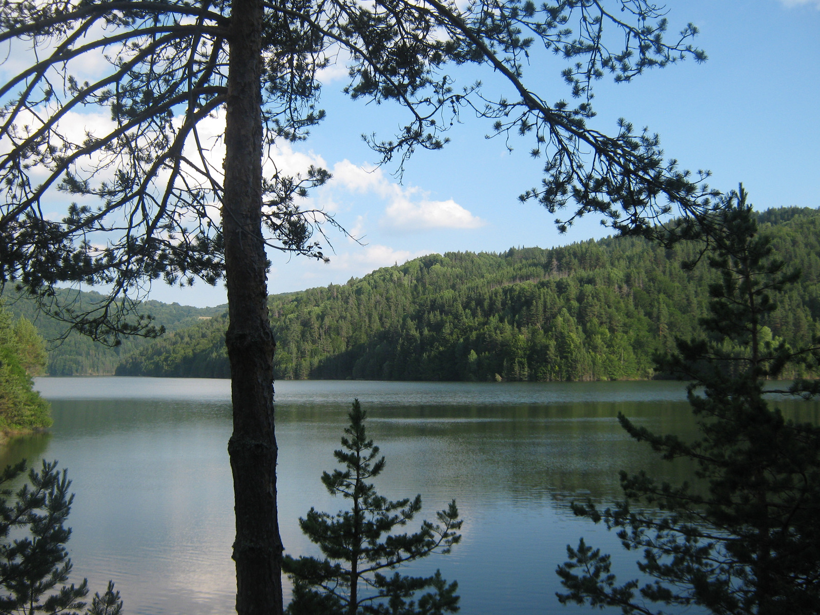 Image 968743 (auto)