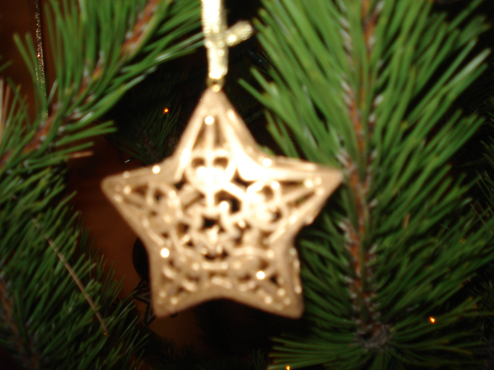 Image 482164 (auto)