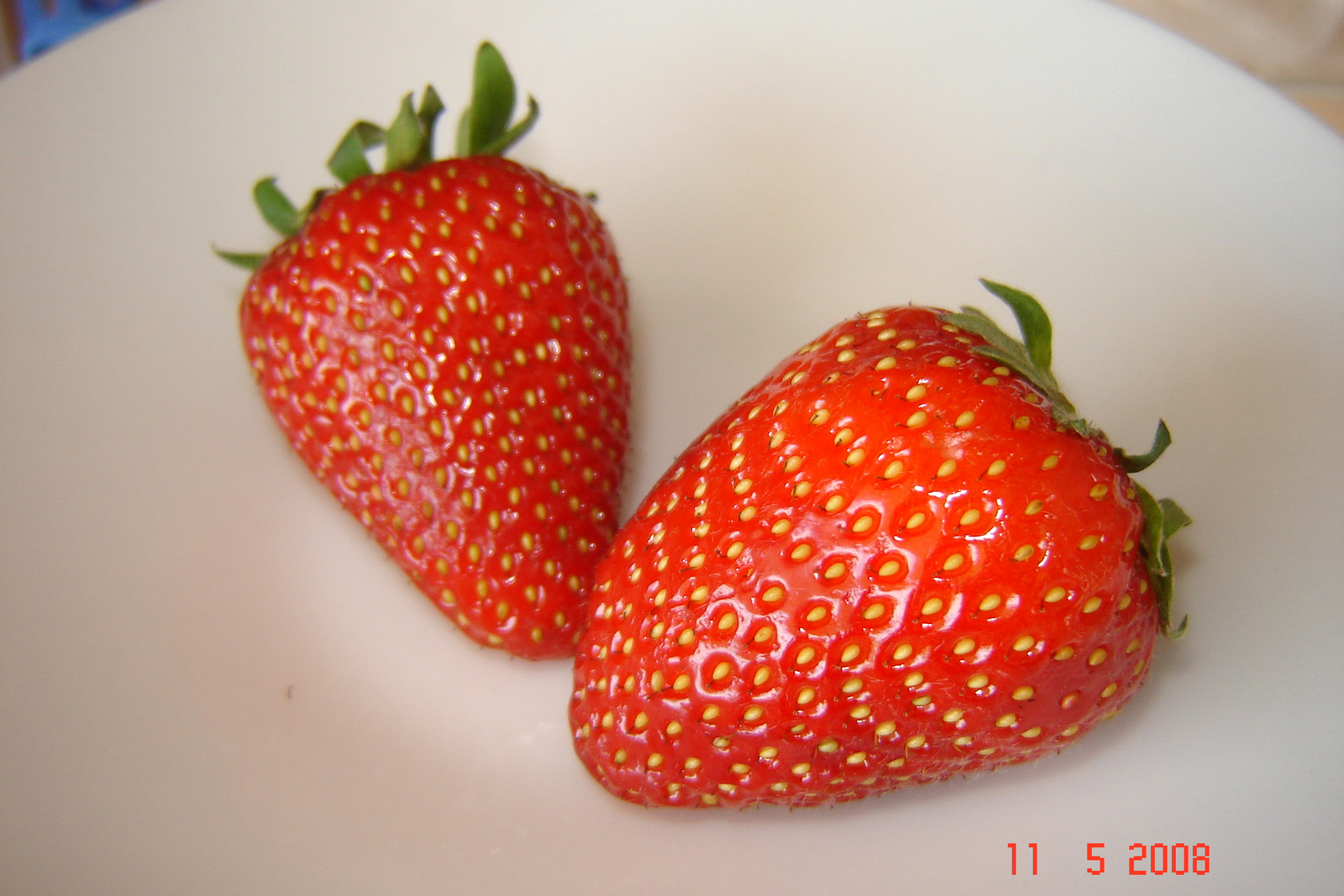 jagode