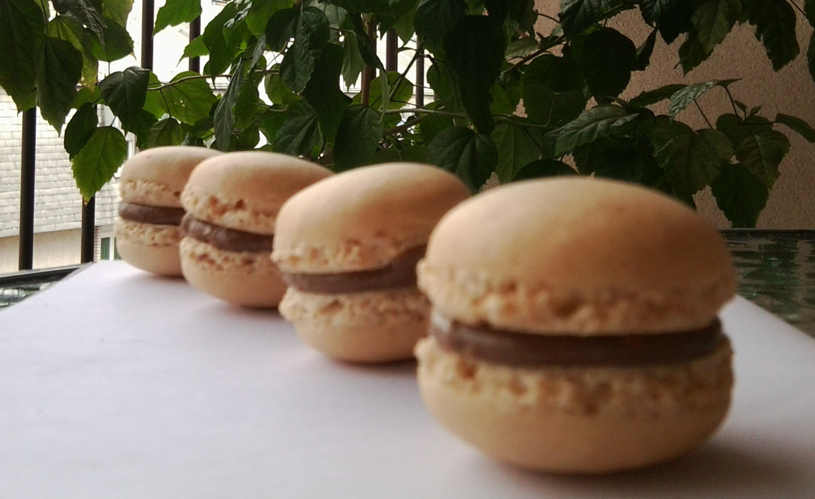 Macarons sa kikirikijem