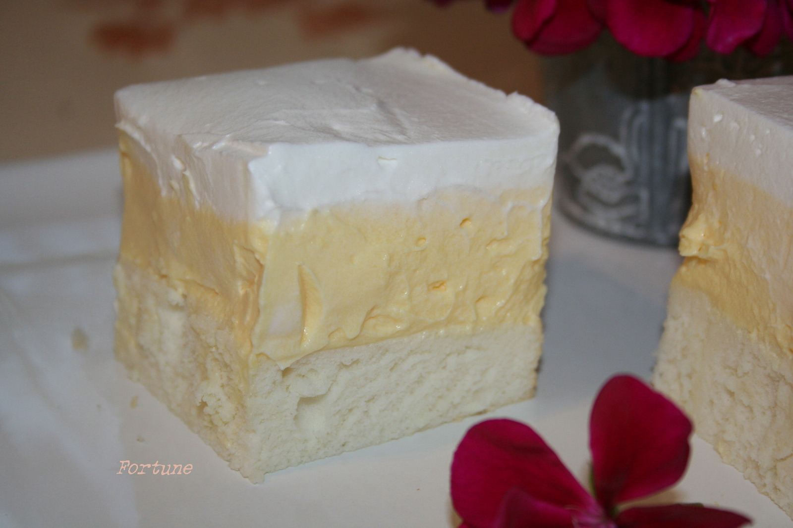 Ledene kocke