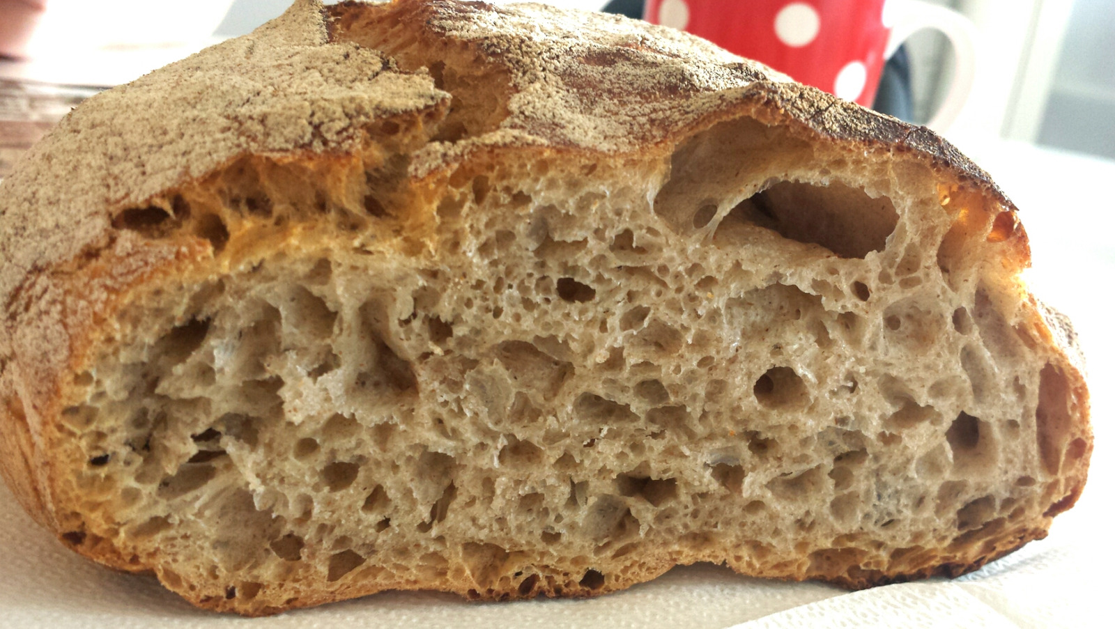 No knead bread - preciznija metoda (kruh koji se ne mijesi)
