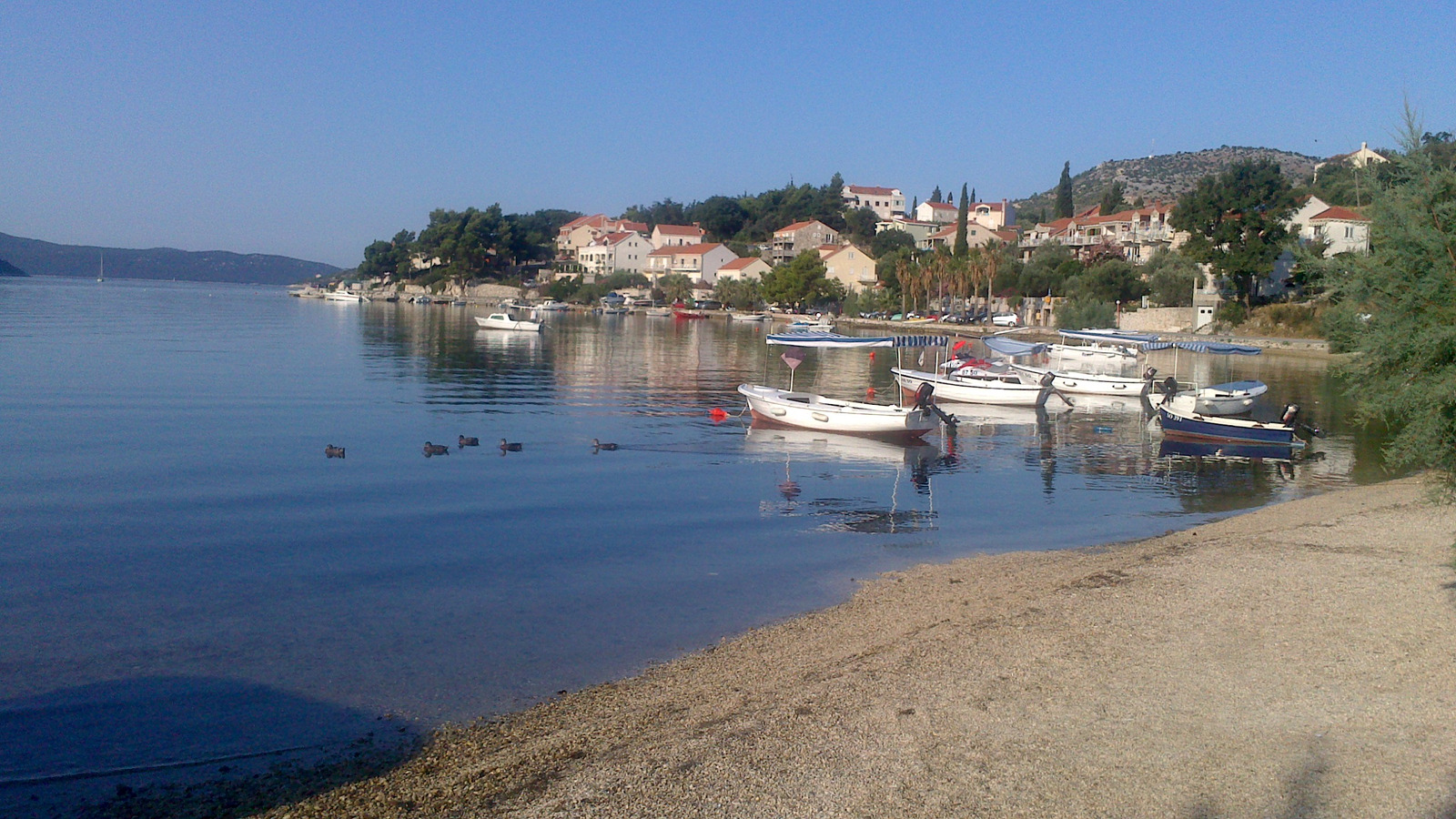 Image 991397 (auto)