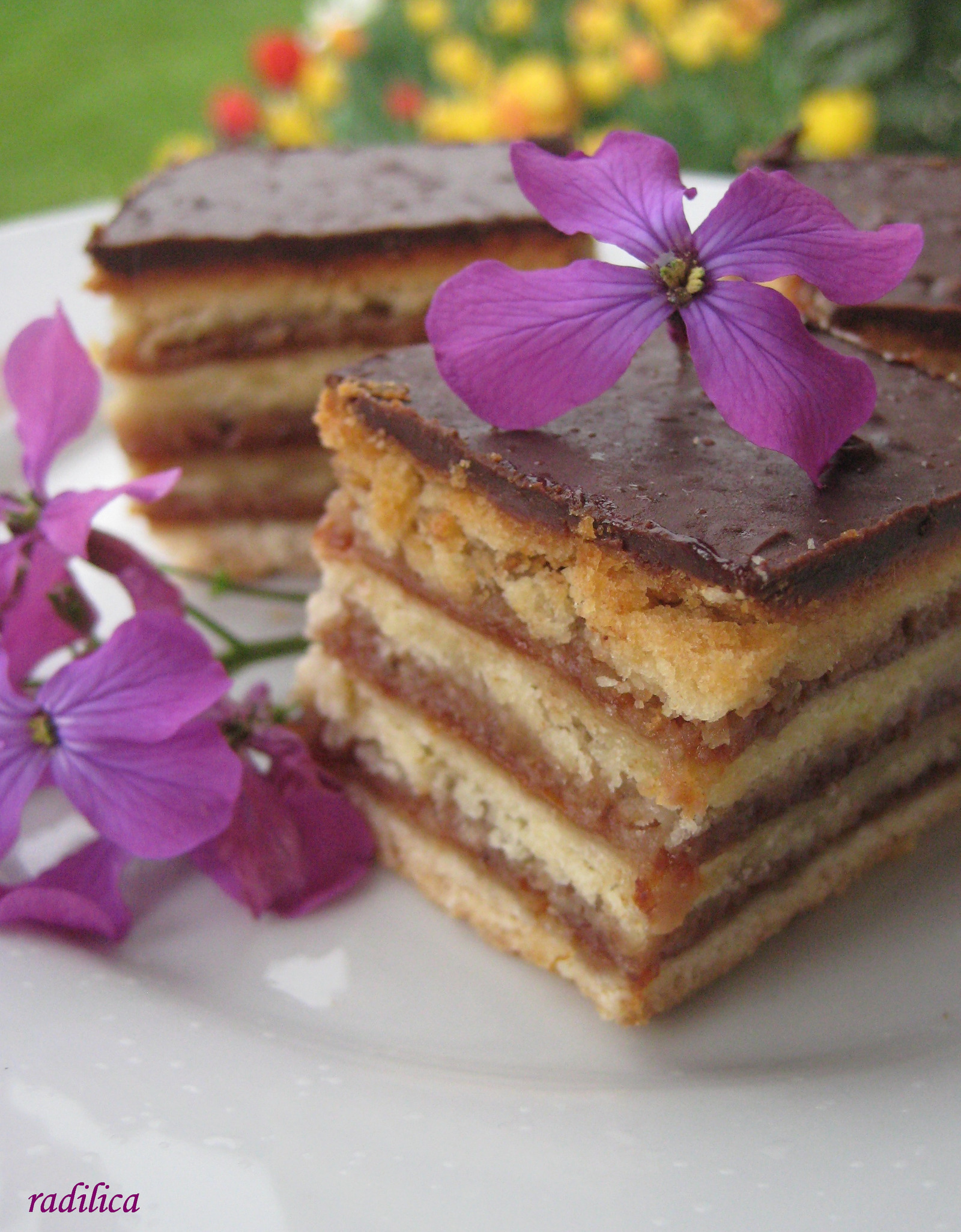 Žerbo kocke