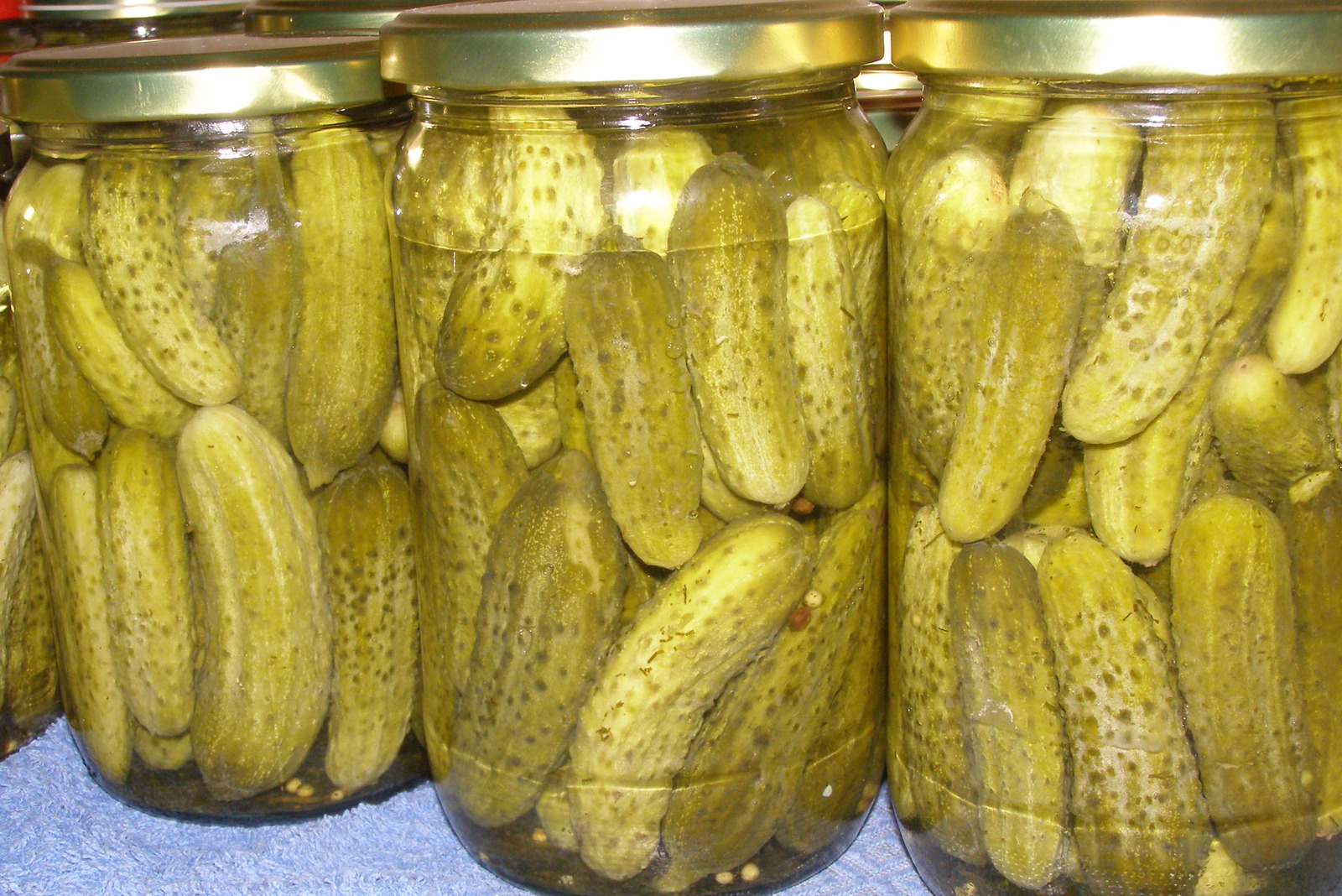 Kisela zimnica
