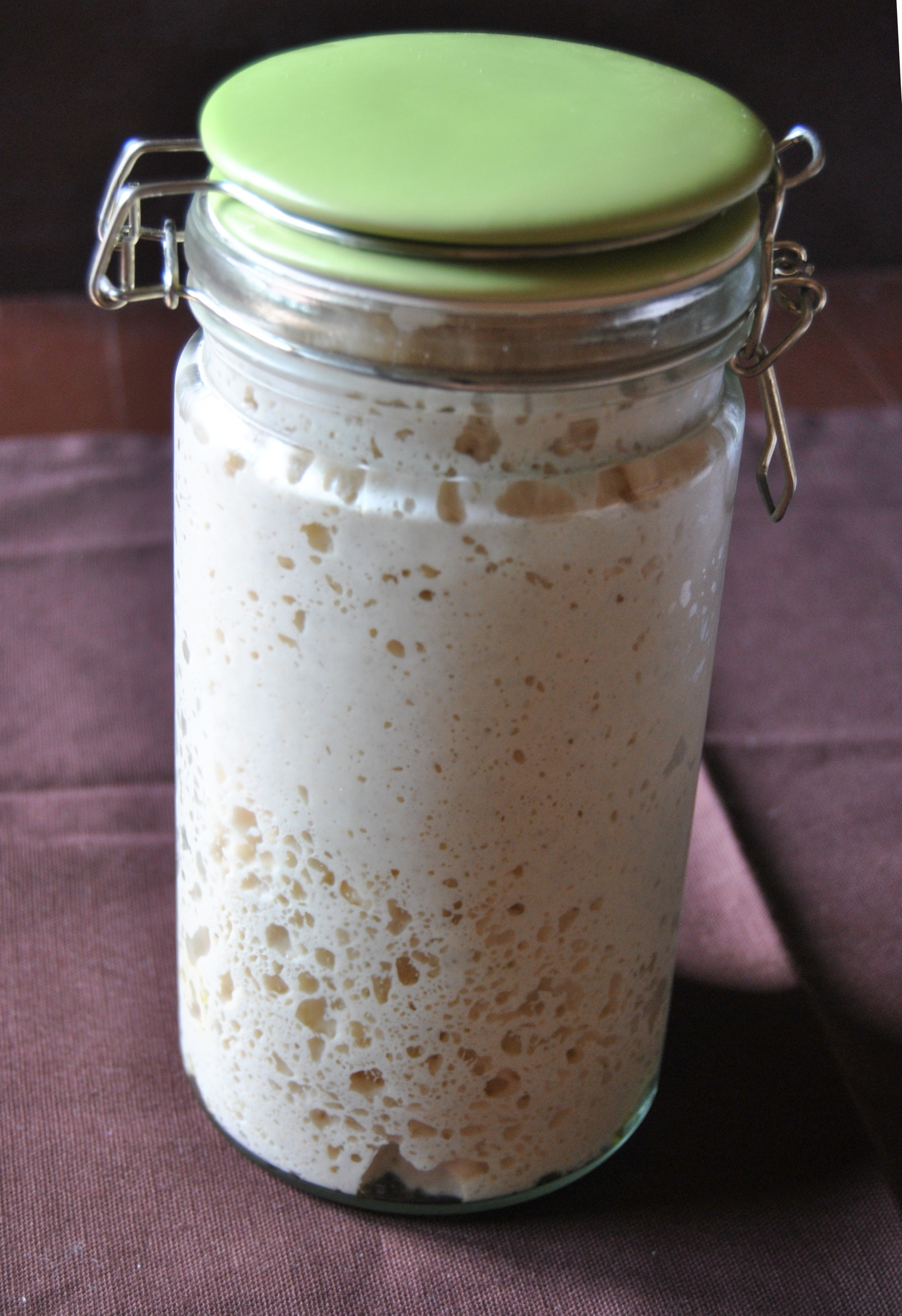 Kvas / kiselo tijesto / Lievito madre / Sourdough starter