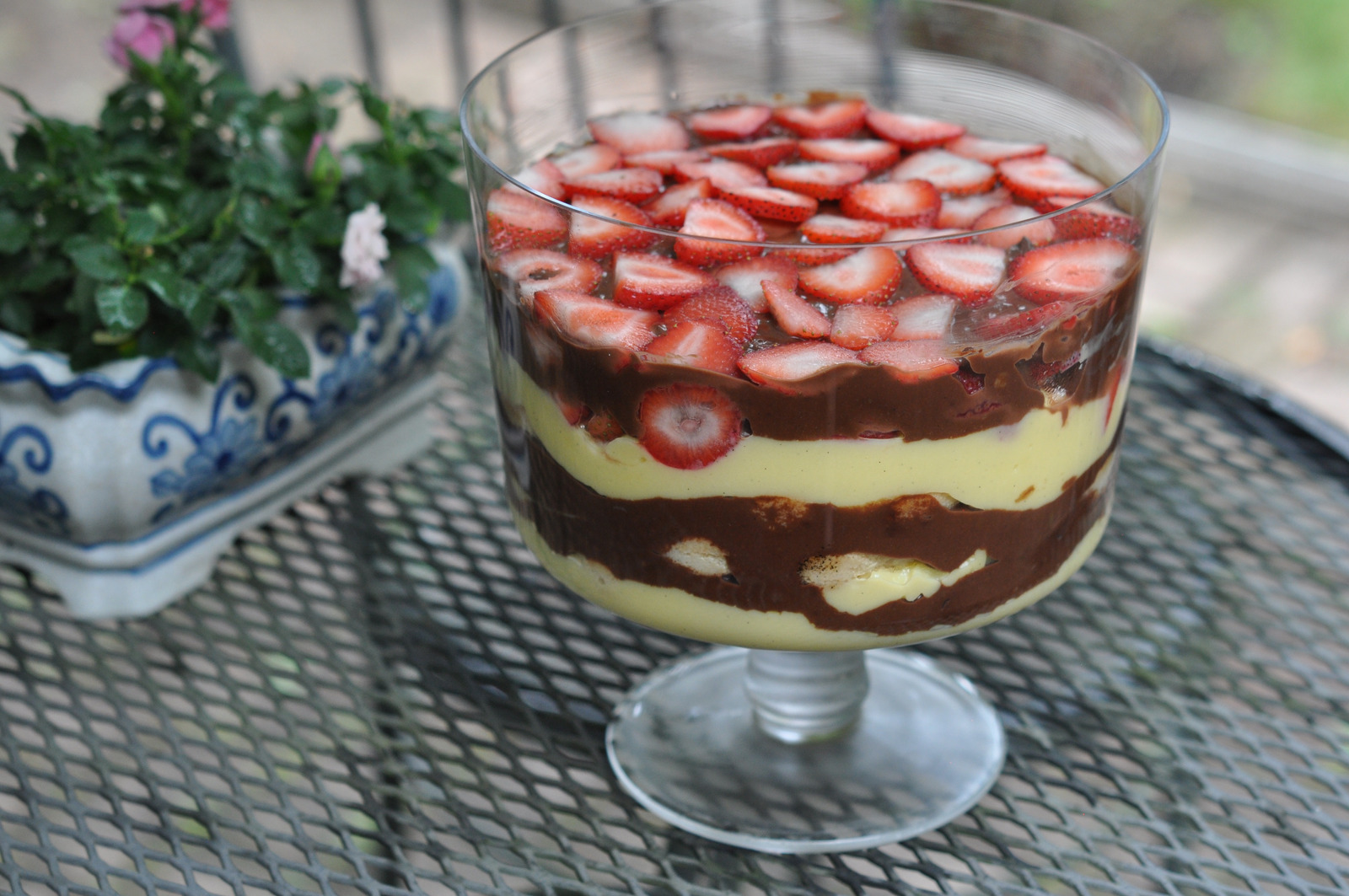 Italijanski trifle (Zuppa Inglese)
