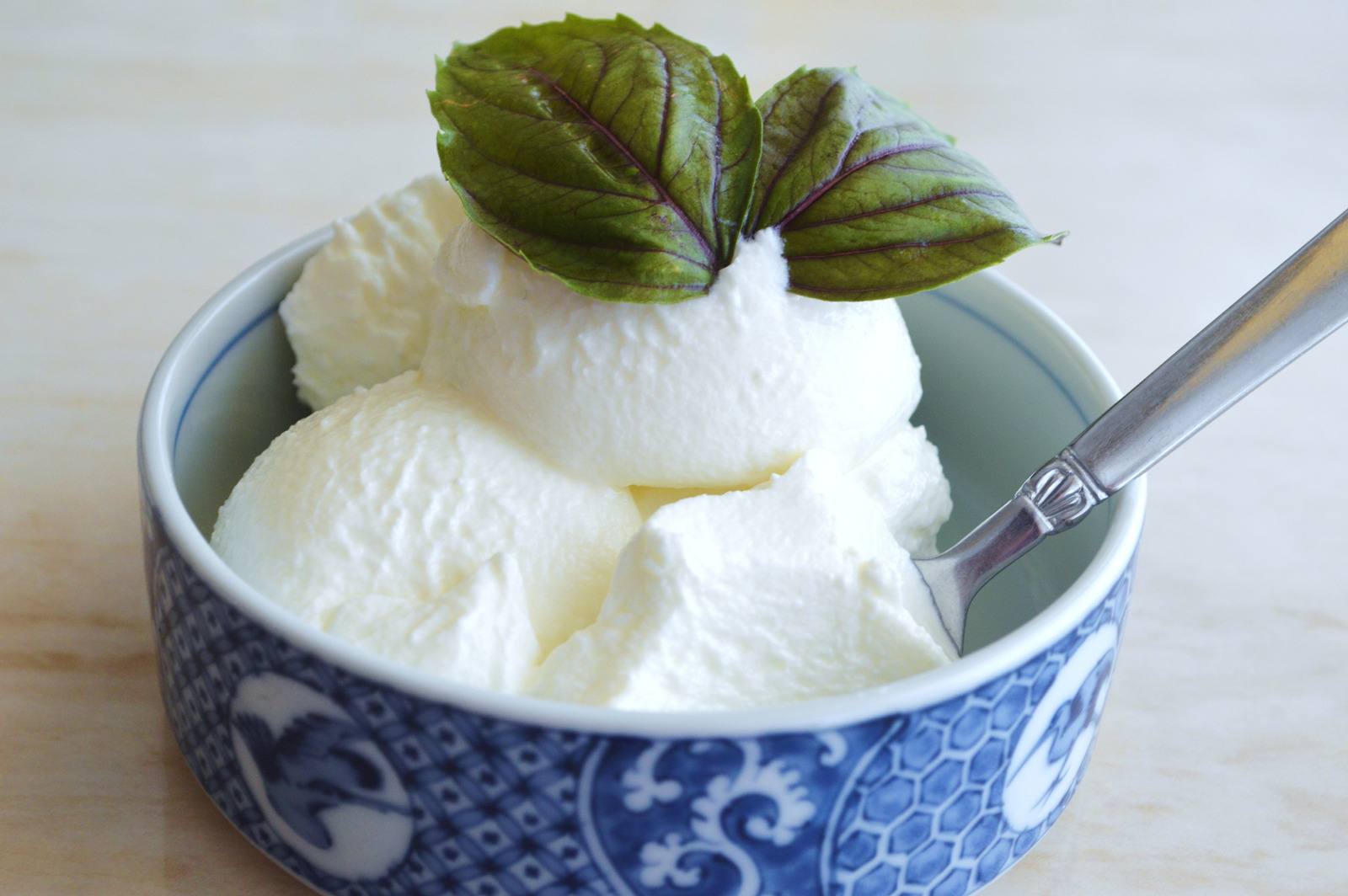 Domaci jogurt na Kurdski nacin