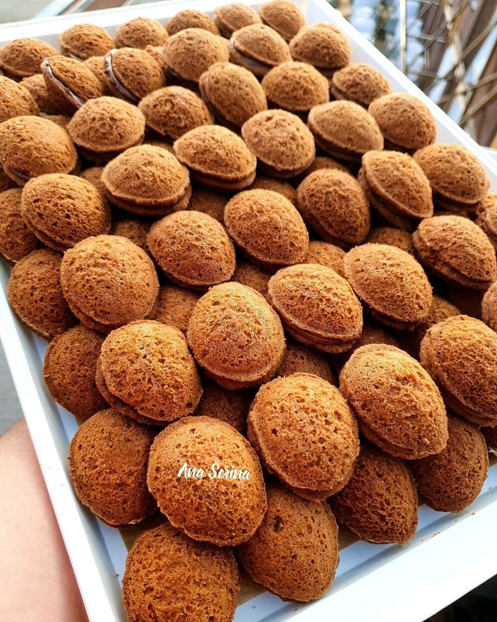 Orascici