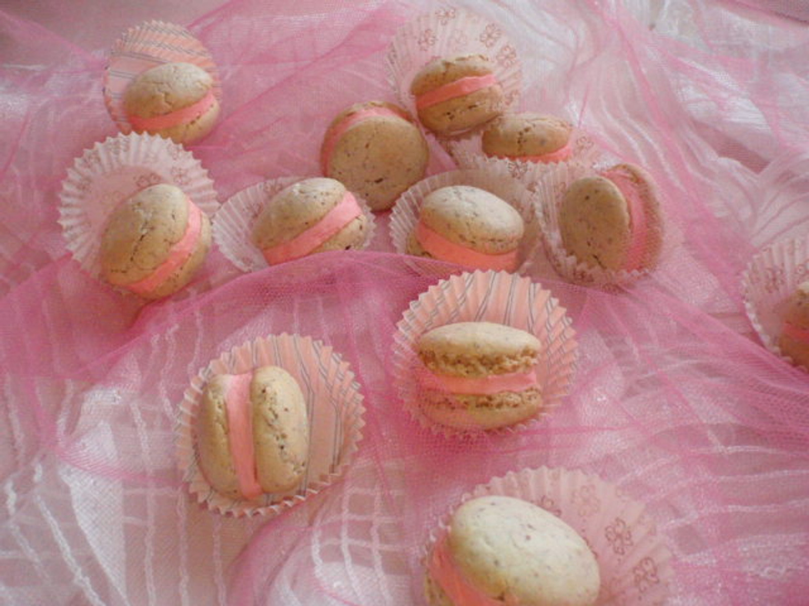 PAHULJICA MAKARONI