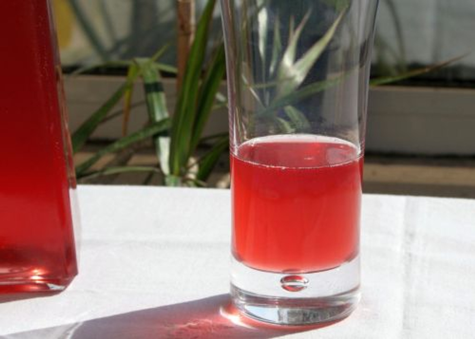 Sirup od kadulje