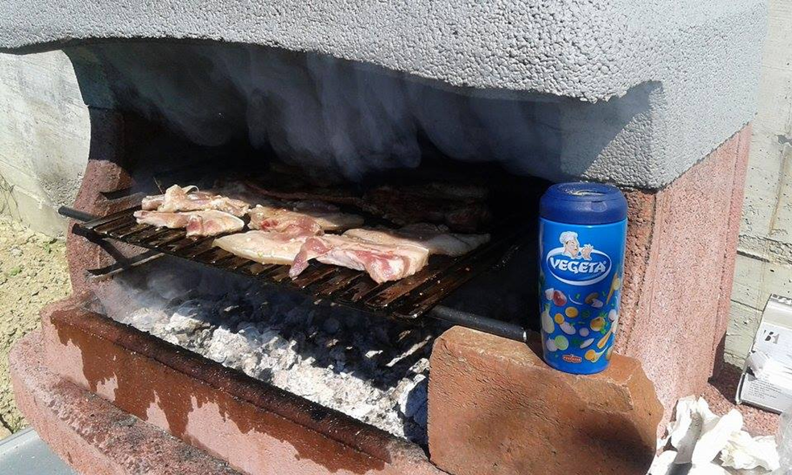 moj roštilj uz vegetu